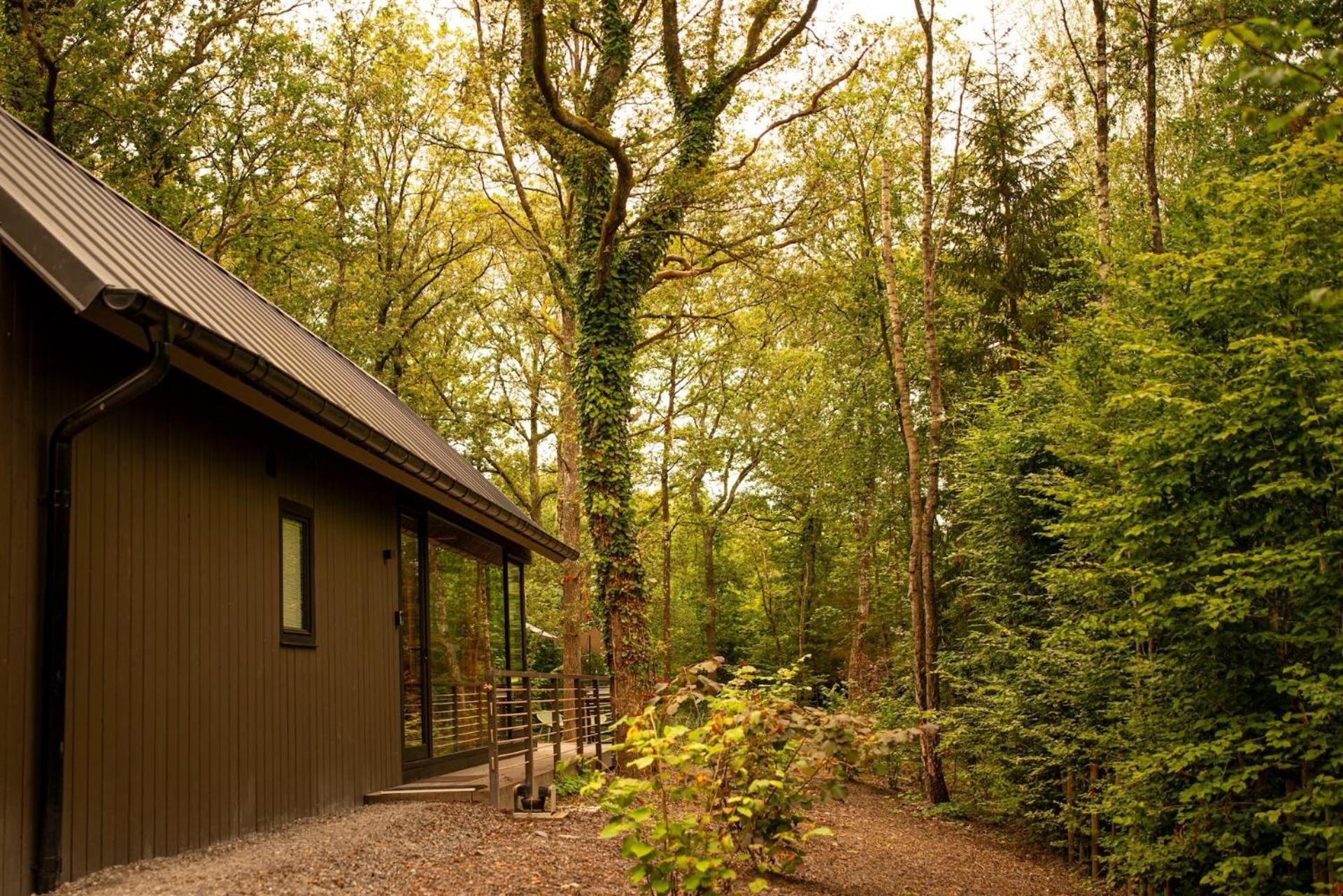 Inarden Yosemite Cabin