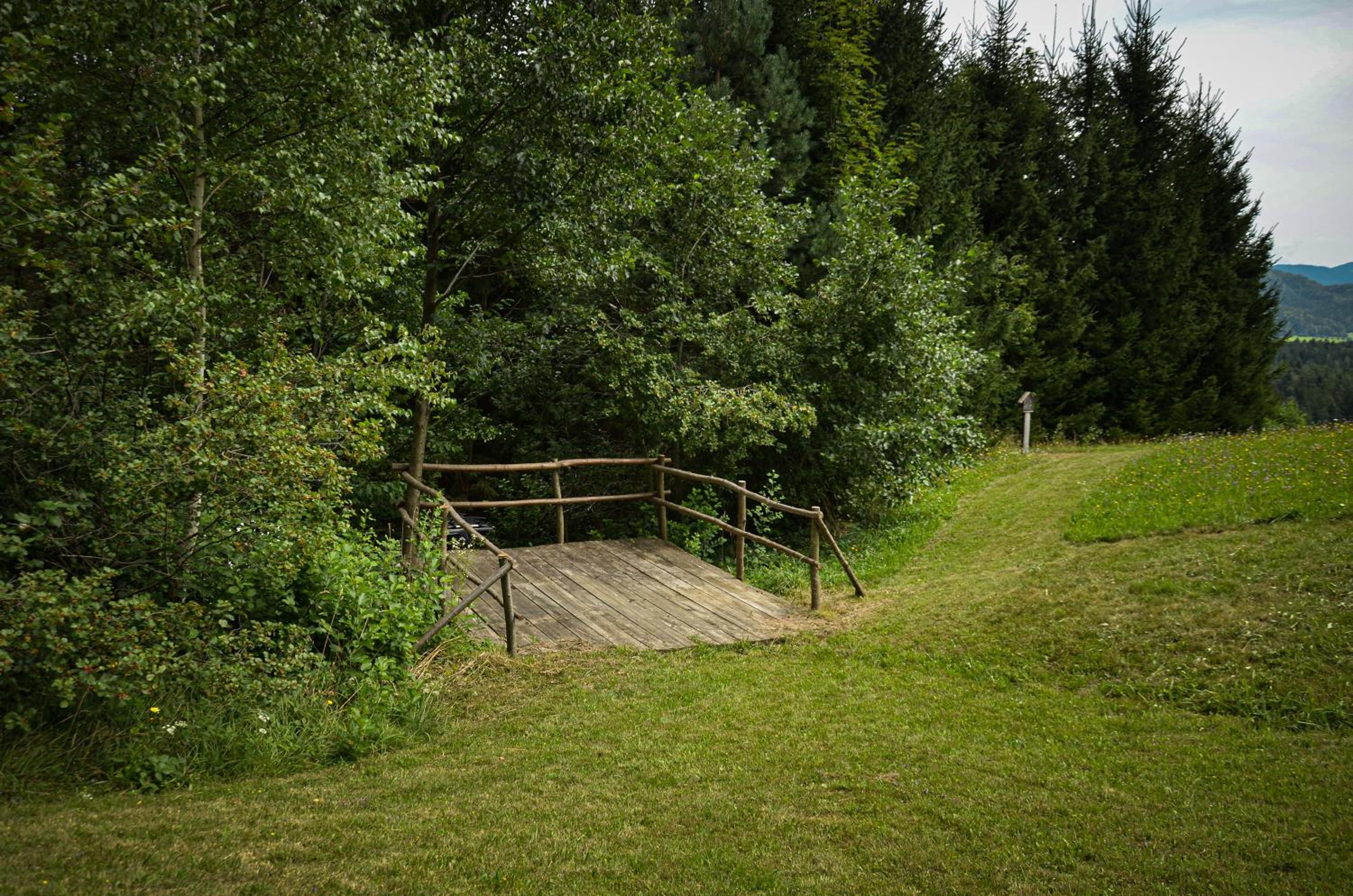 Photo 33
