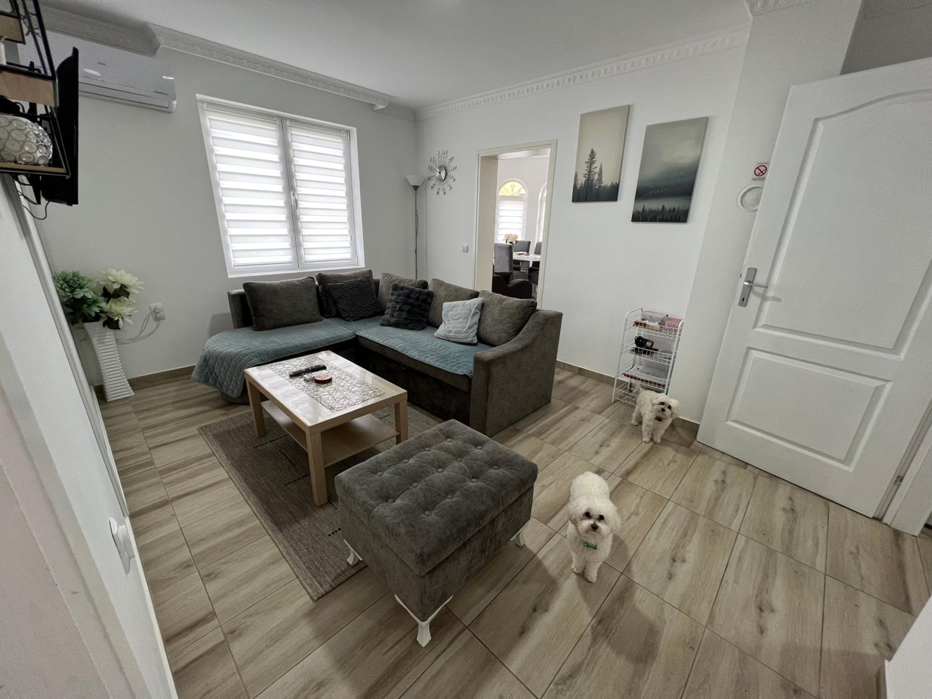 Apartman LOKI view 5