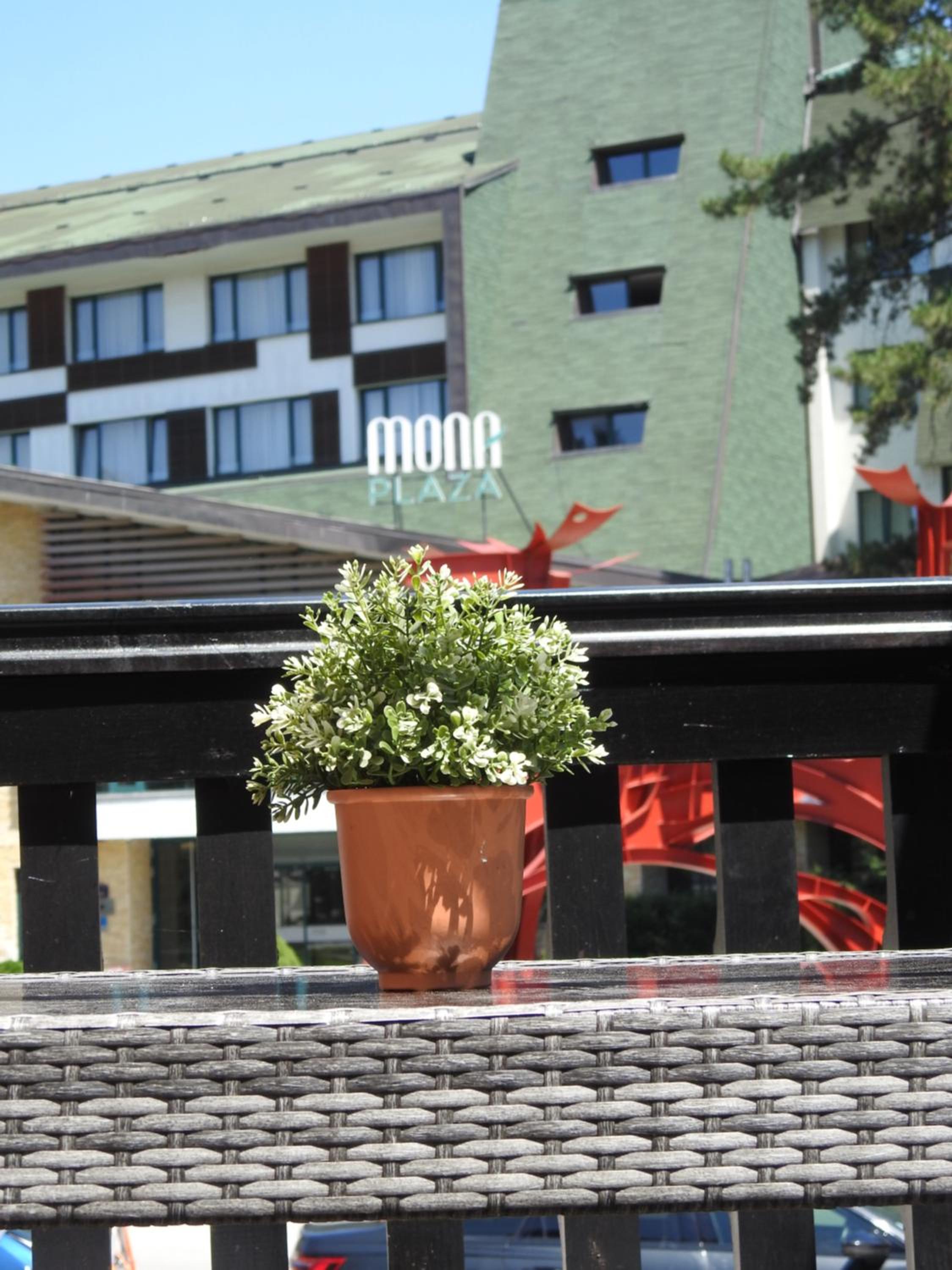 Apartman Ogi