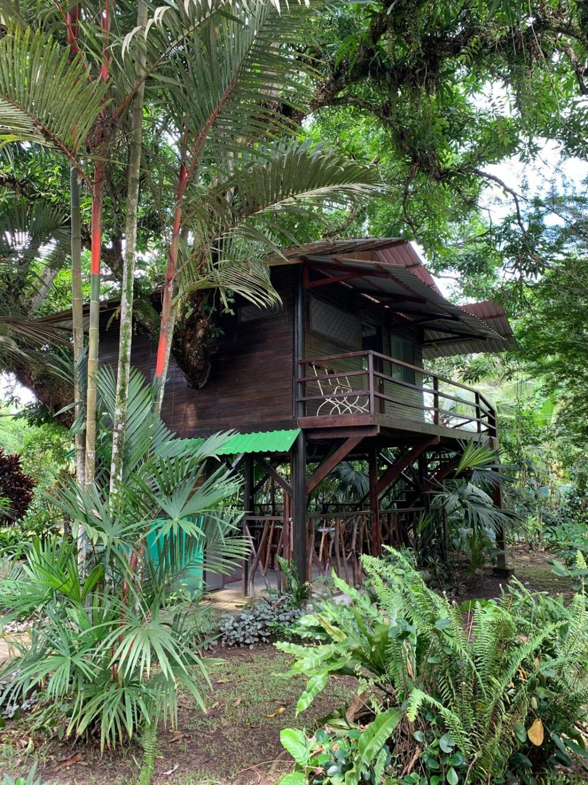Playa Grande Lodge & Tree House view 2