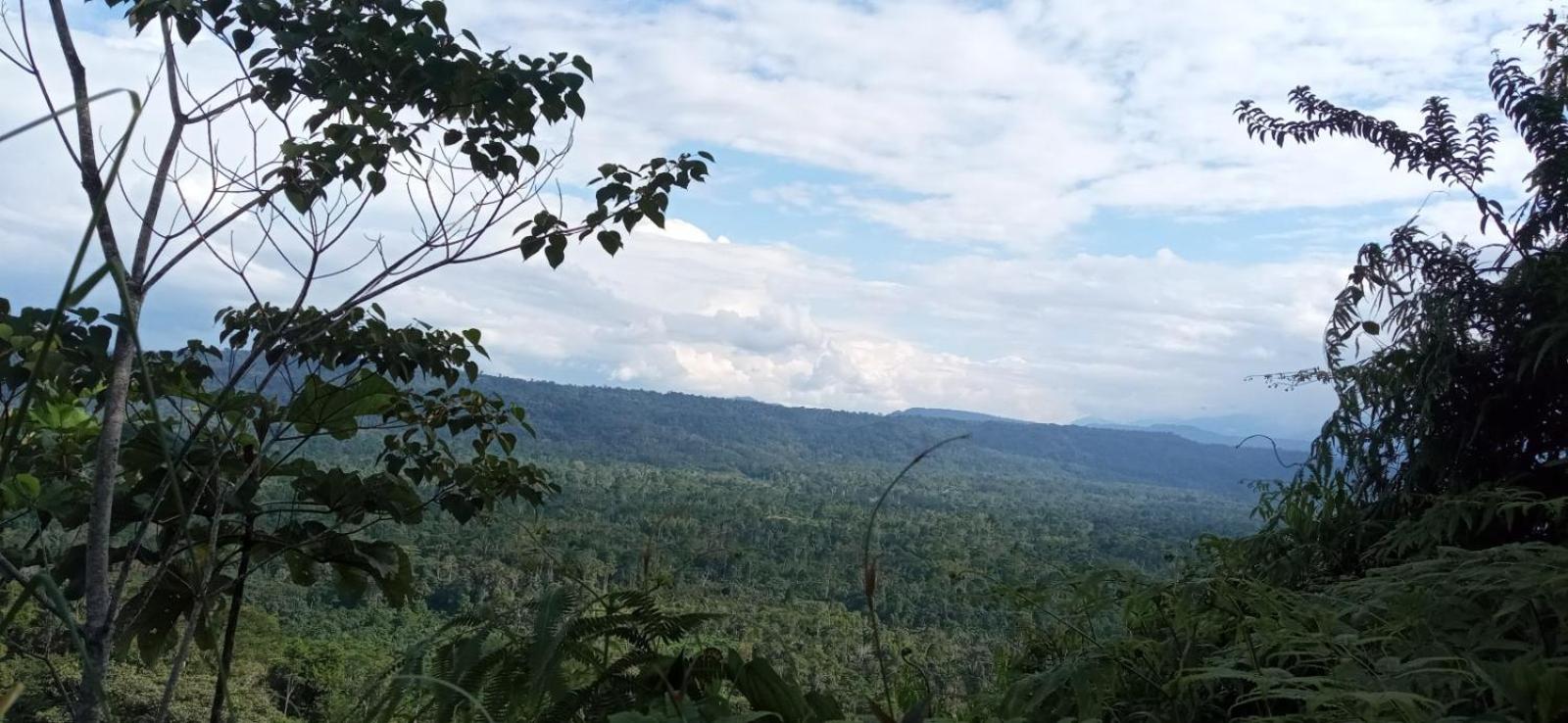Ingaru Amazon Lodge