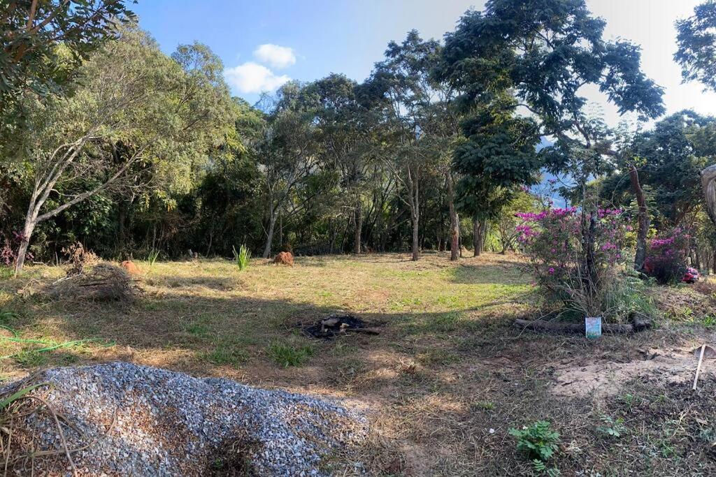 Canto das Árvores