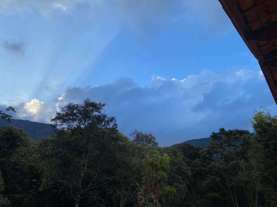 Canto das Árvores