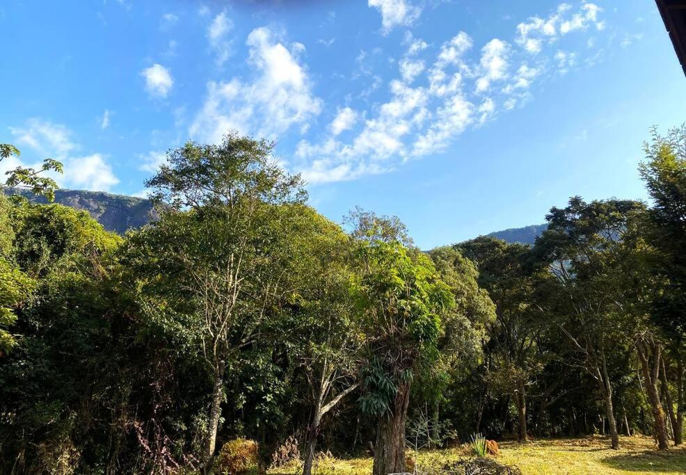 Canto das Árvores