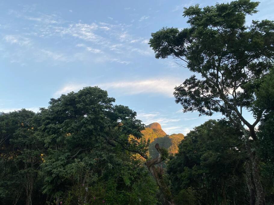 Canto das Árvores