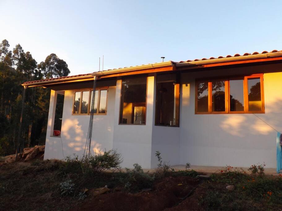Canto das Árvores