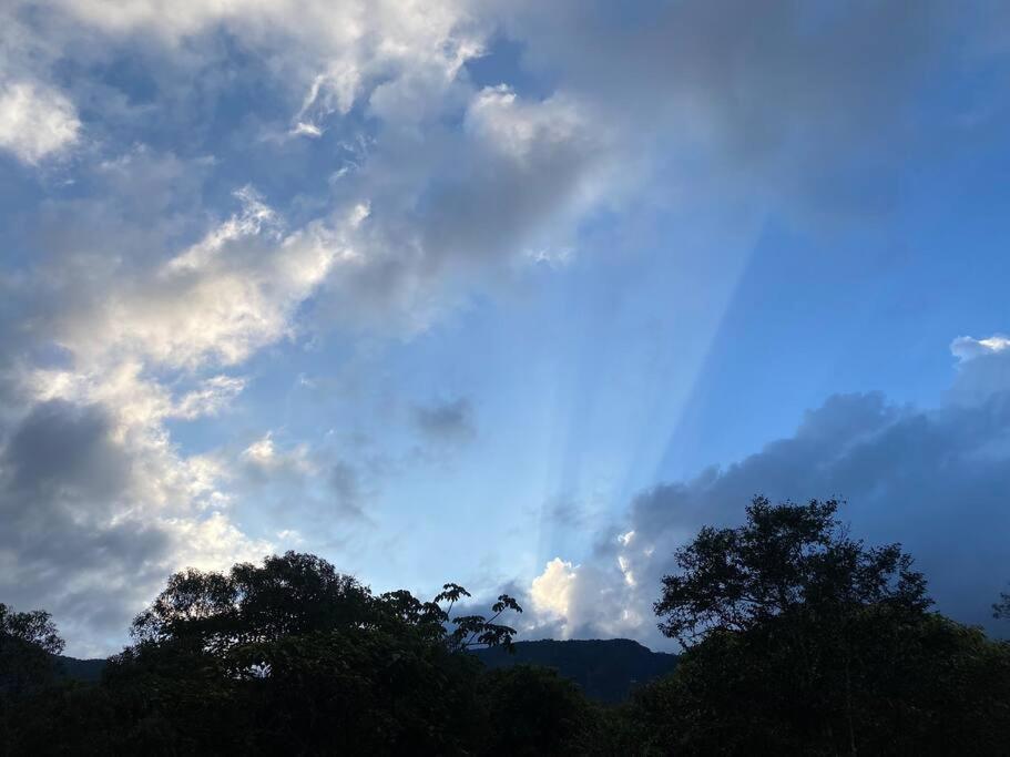 Canto das Árvores