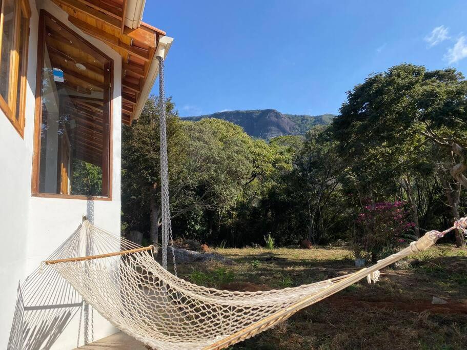Canto das Árvores