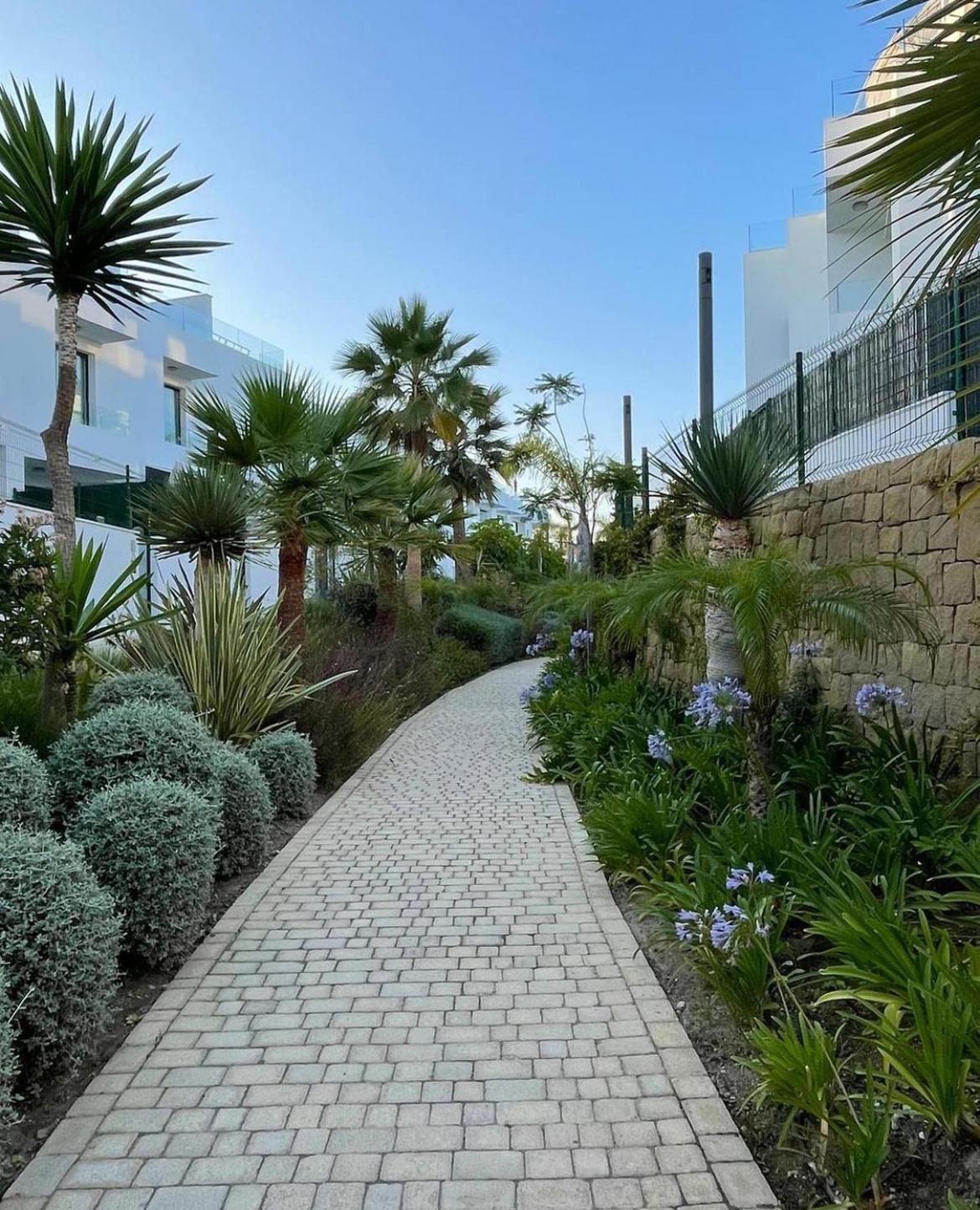 Casa Zorro - Experience Luxury view 3