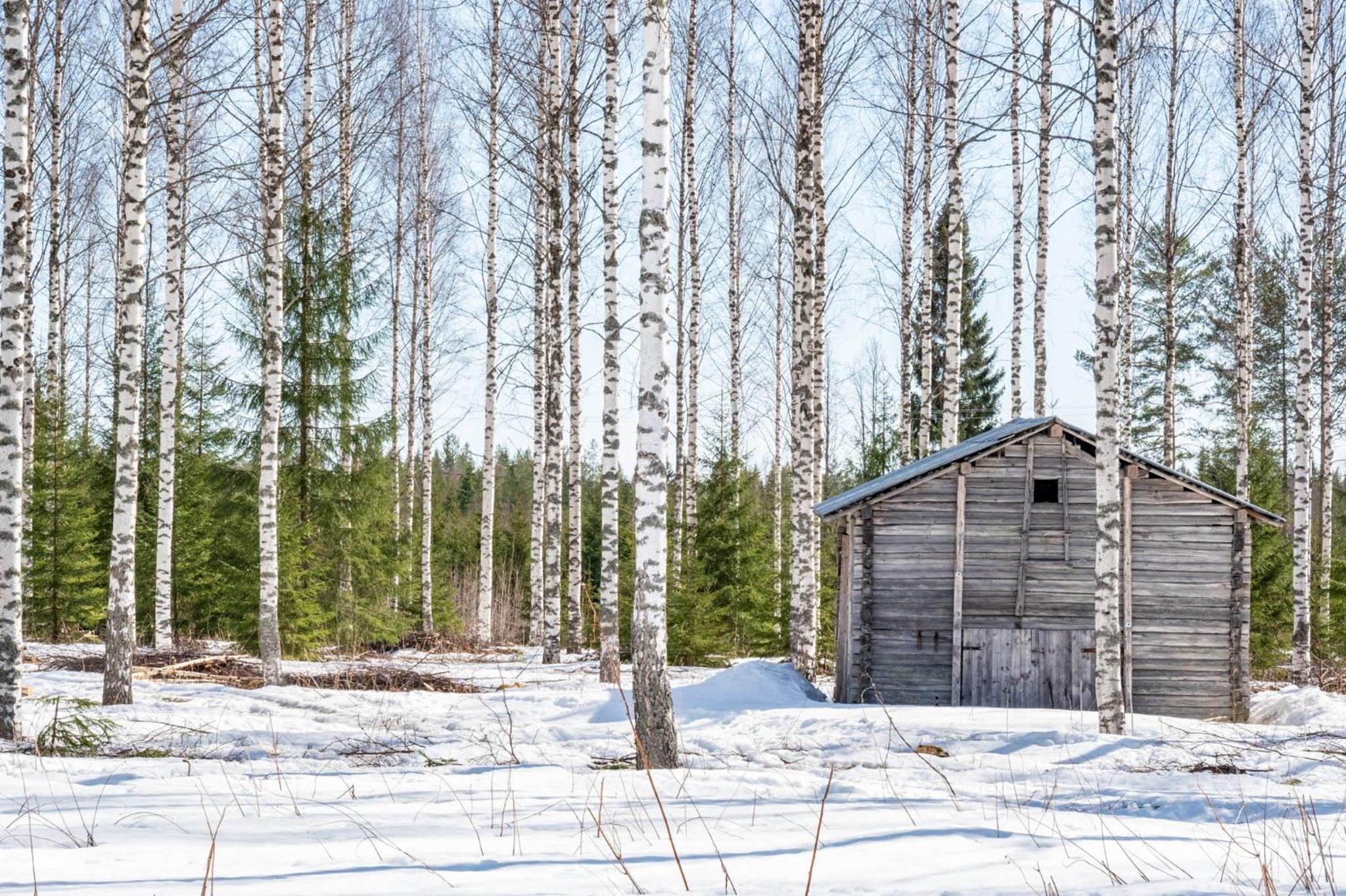 Patrikka Holiday Home