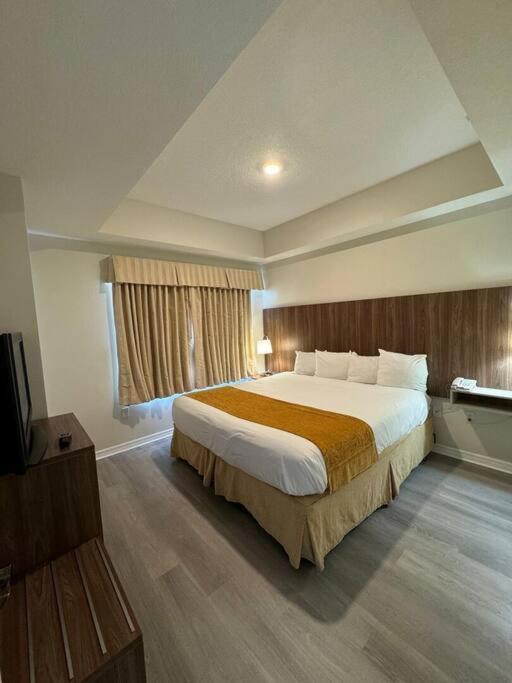 1 Bedroom - Grand Suite 5 min to Universal, I-drive & Outlets