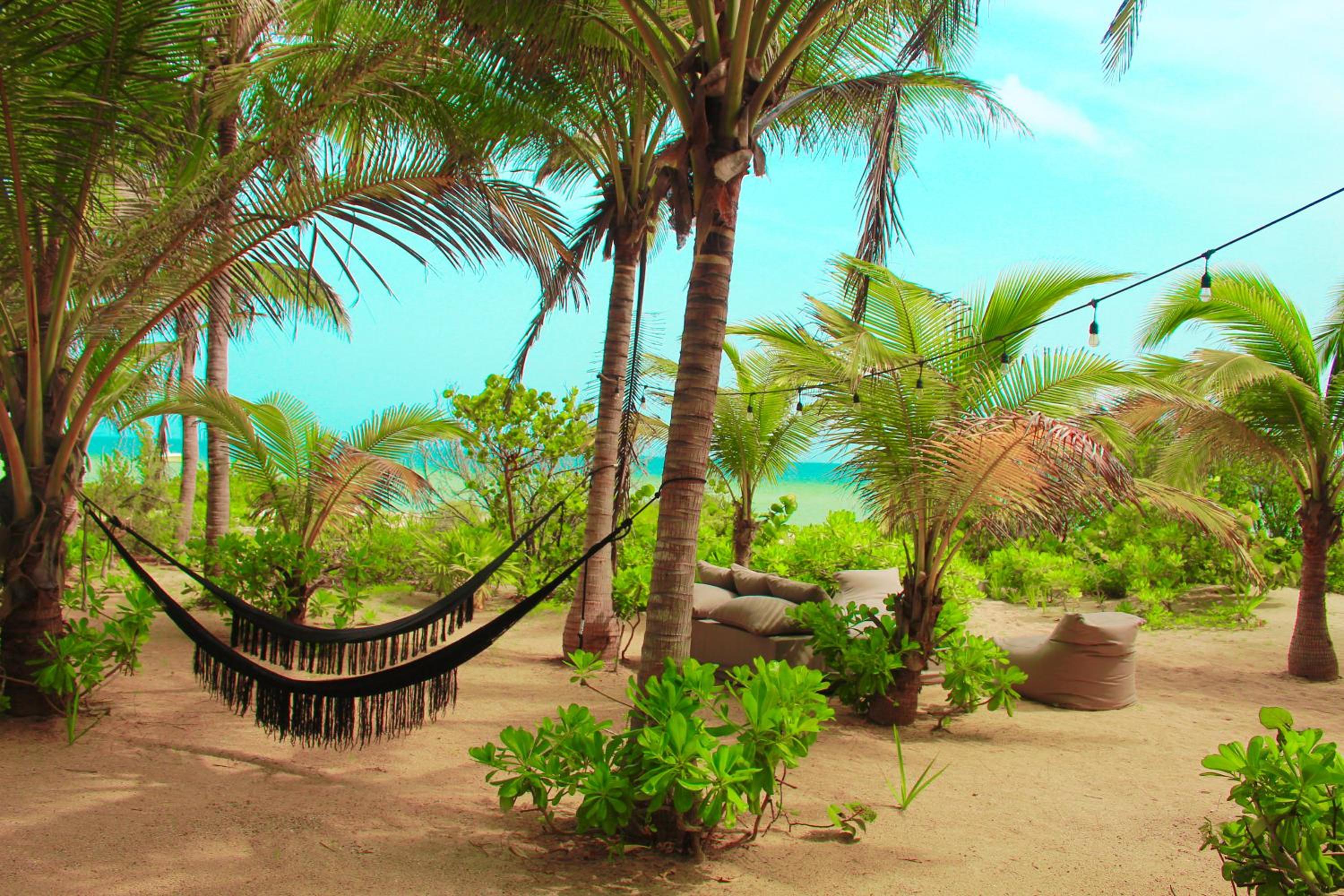 Photo 39