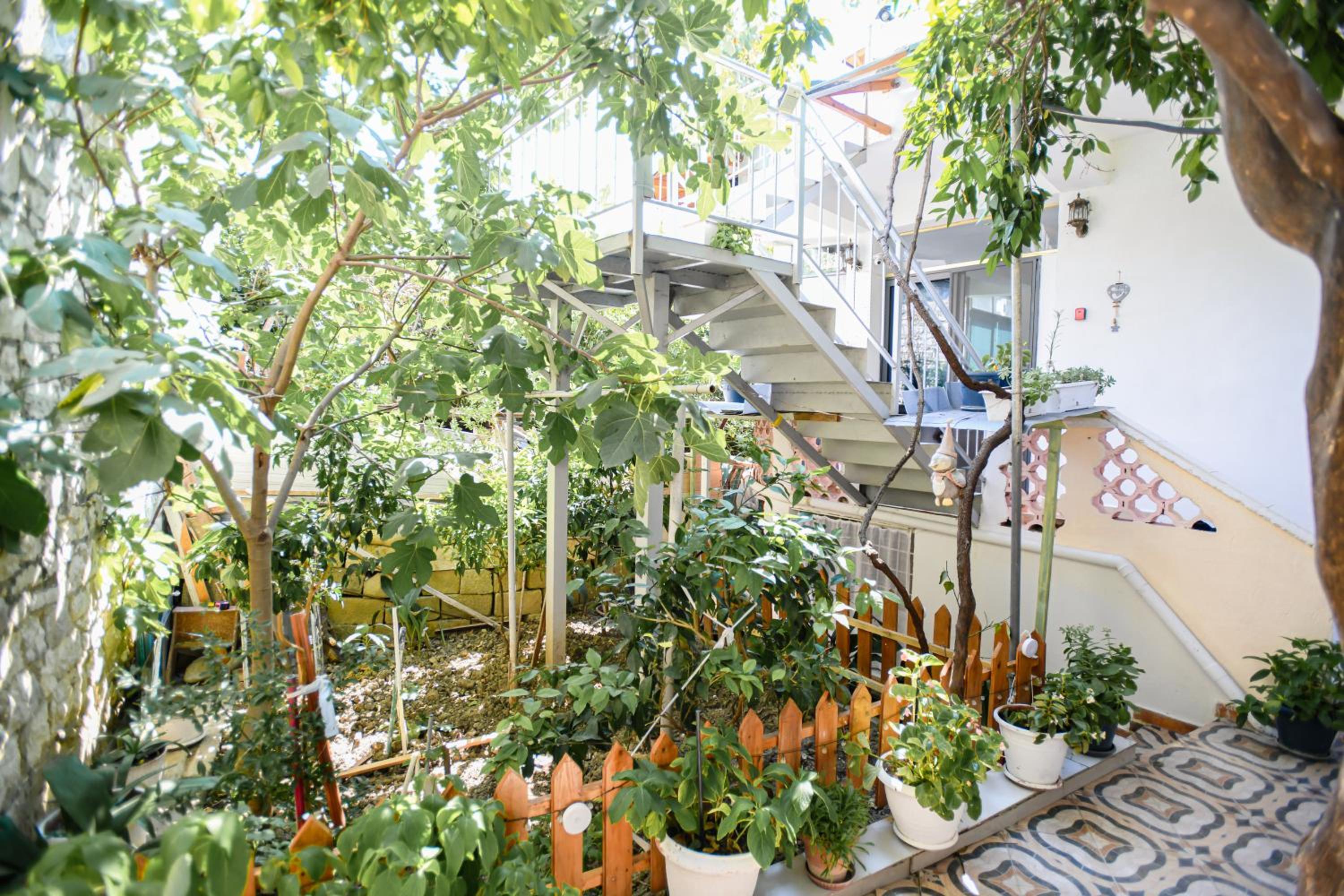 Guest House Flowers photo 4