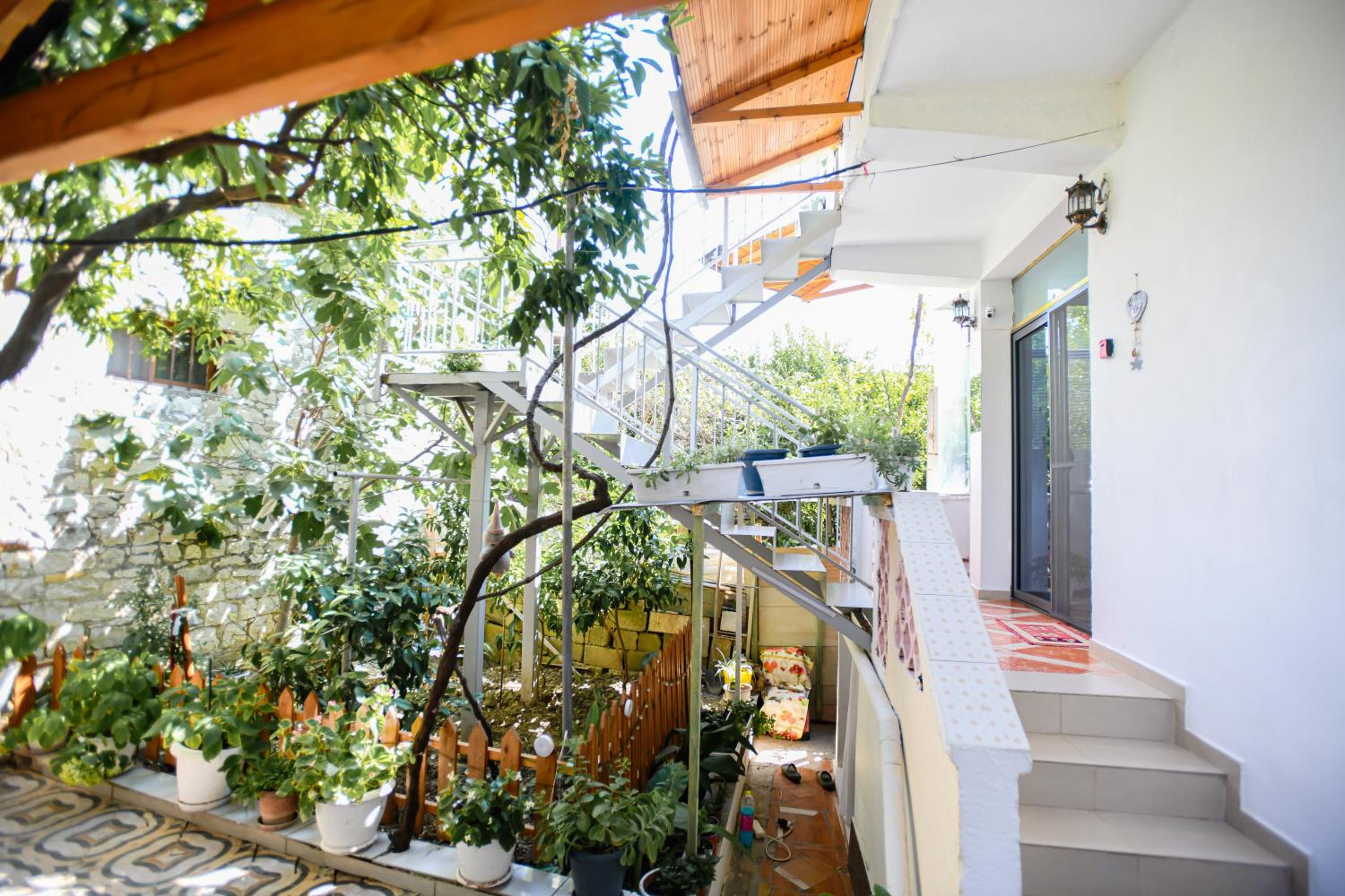 Guest House Flowers photo 5