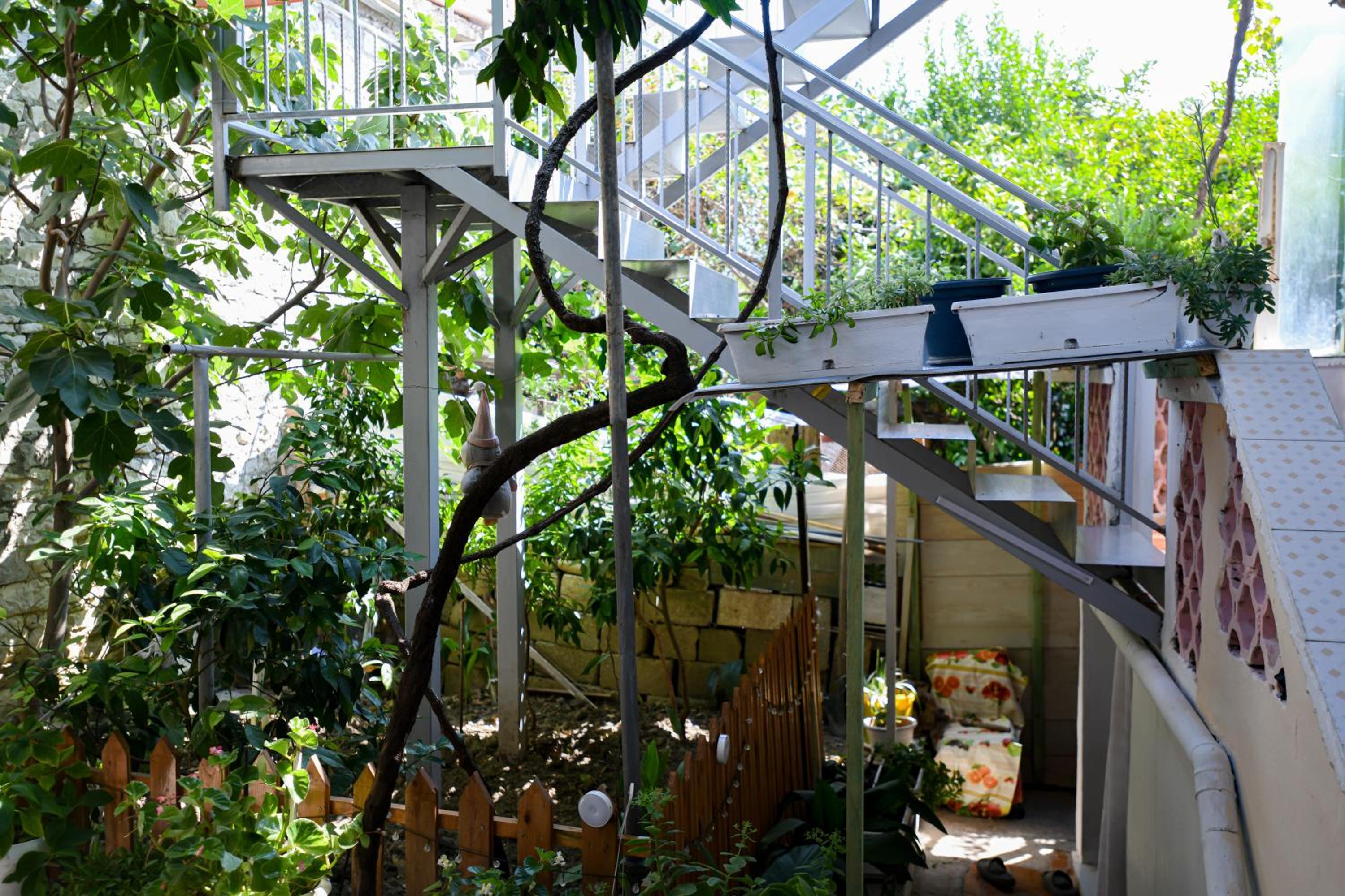 Guest House Flowers