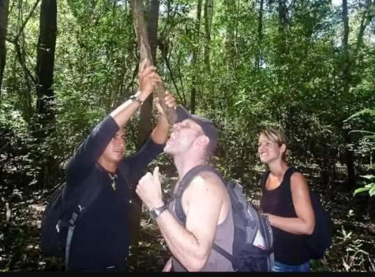 Jairo Amazon Tours view 5