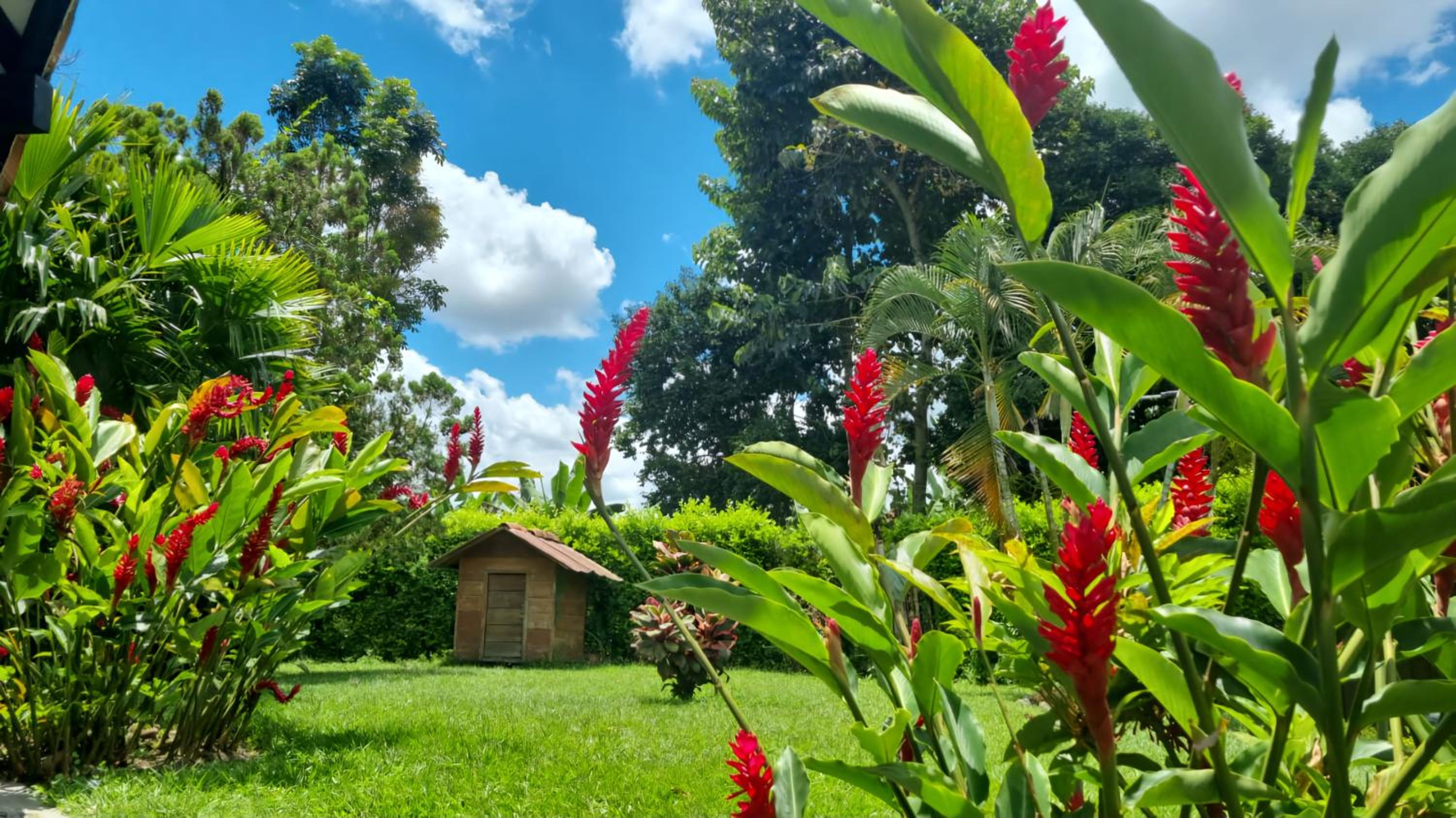 Finca Chalet Montesoro