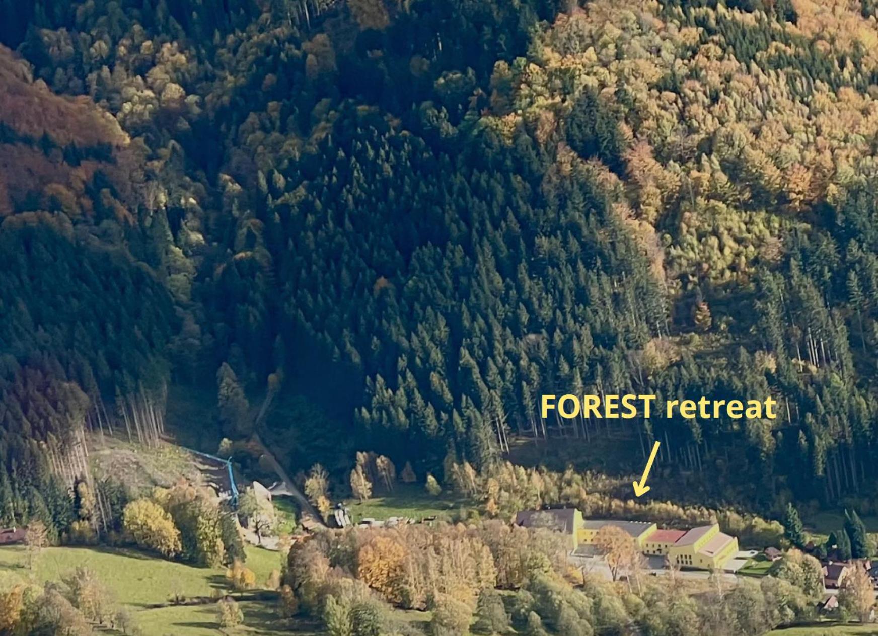 Forest retreat apartino - u lesa, parkování zdarma, Starlink 250 Mbs, terasa & grill, soukromé ohniště, nespresso, netflix