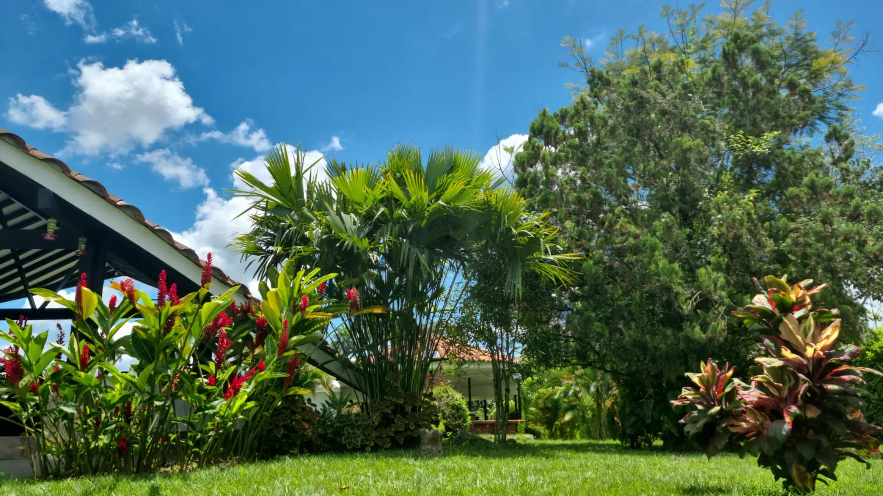 Finca Chalet Montesoro