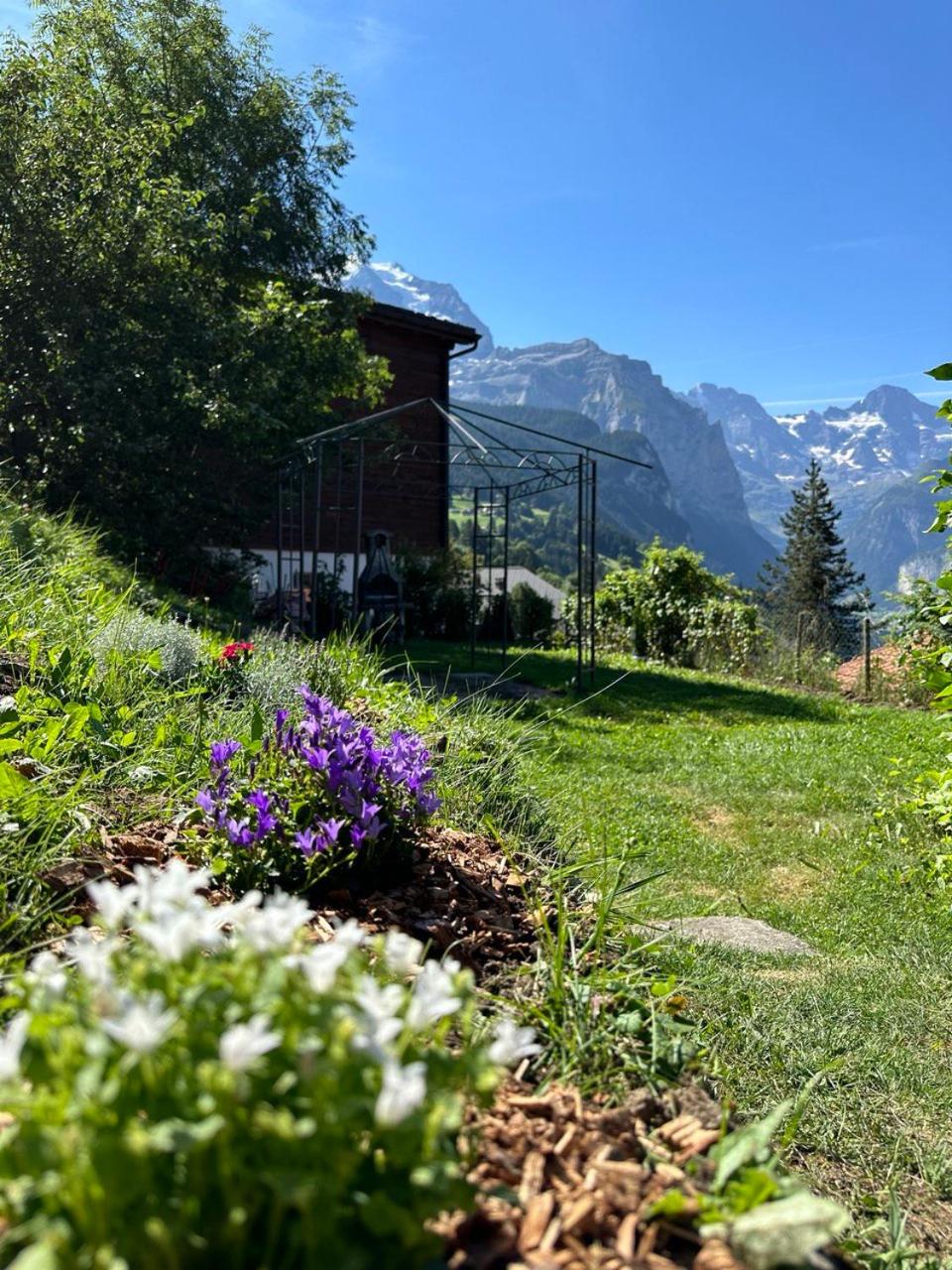 Chalet Luegistal