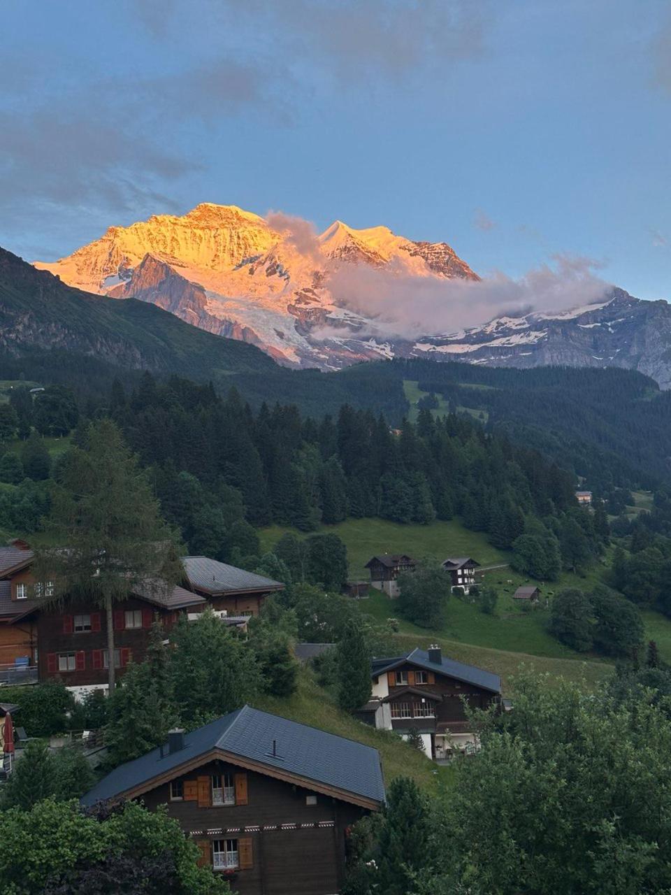 Chalet Luegistal