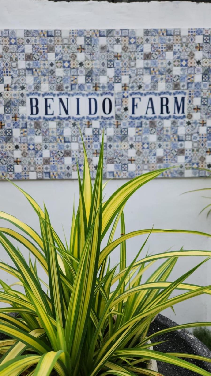 Benido Farm - A Secret Haven view 5