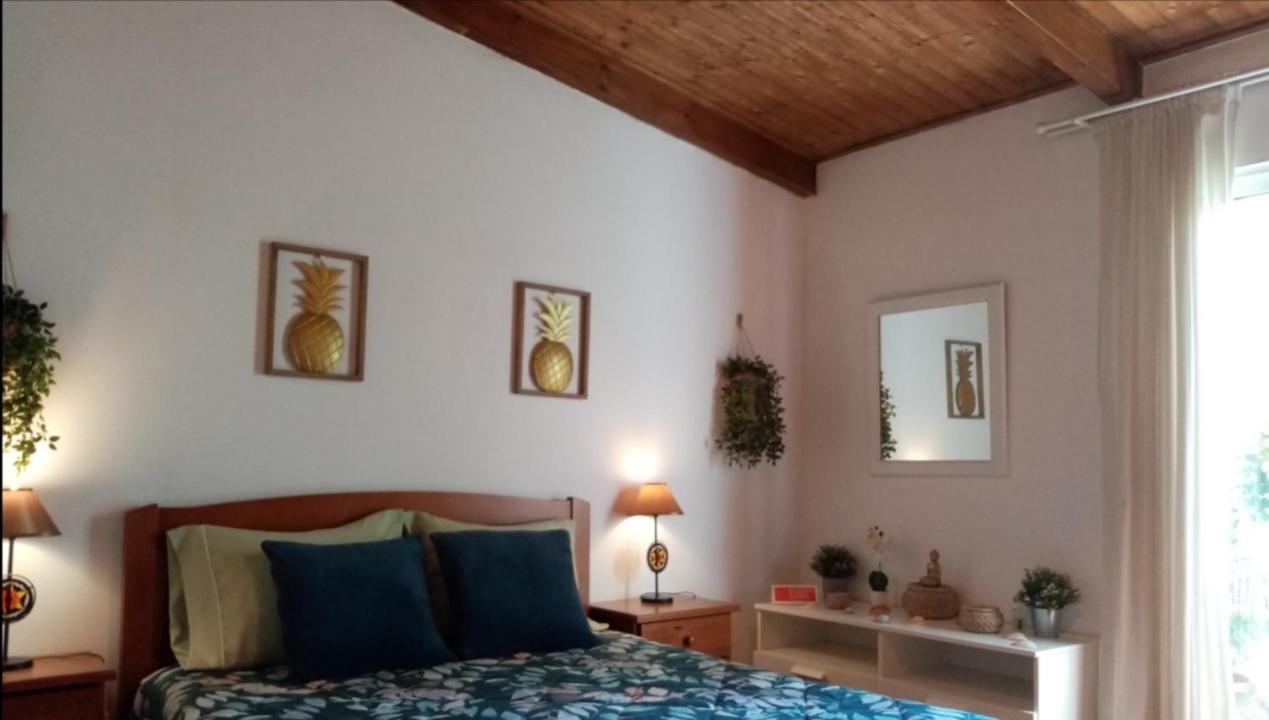 Casa Rustica - Courtyard House view 3