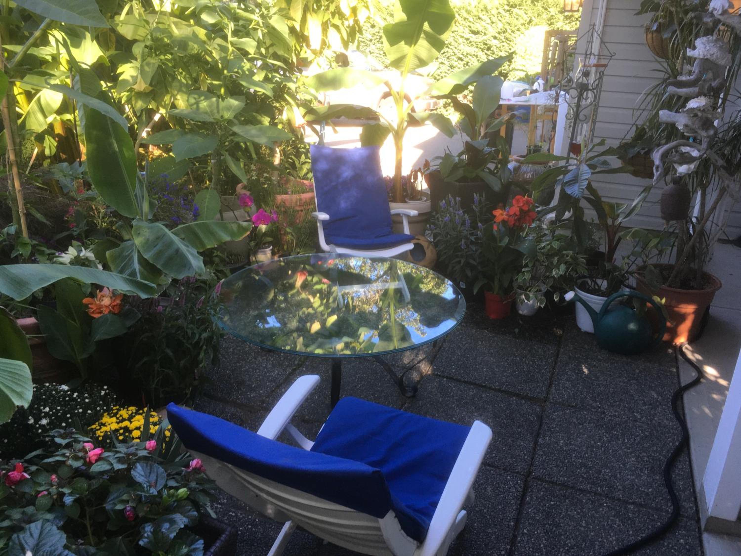 An Oasis By The Bay