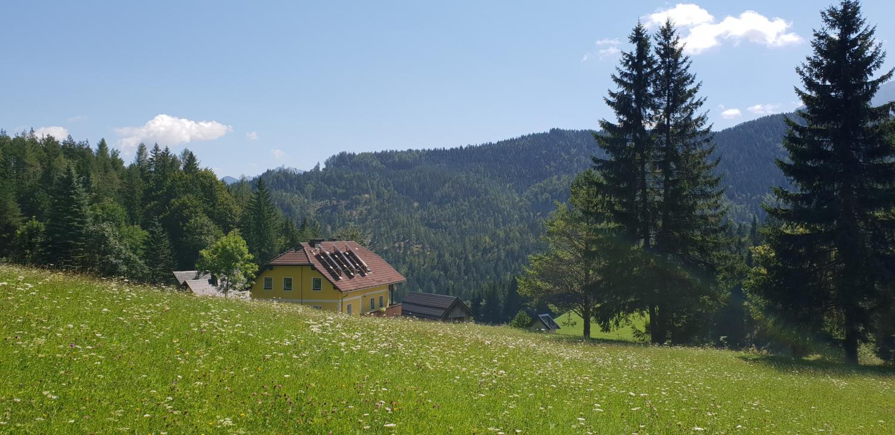 Bauernchalet Orainza