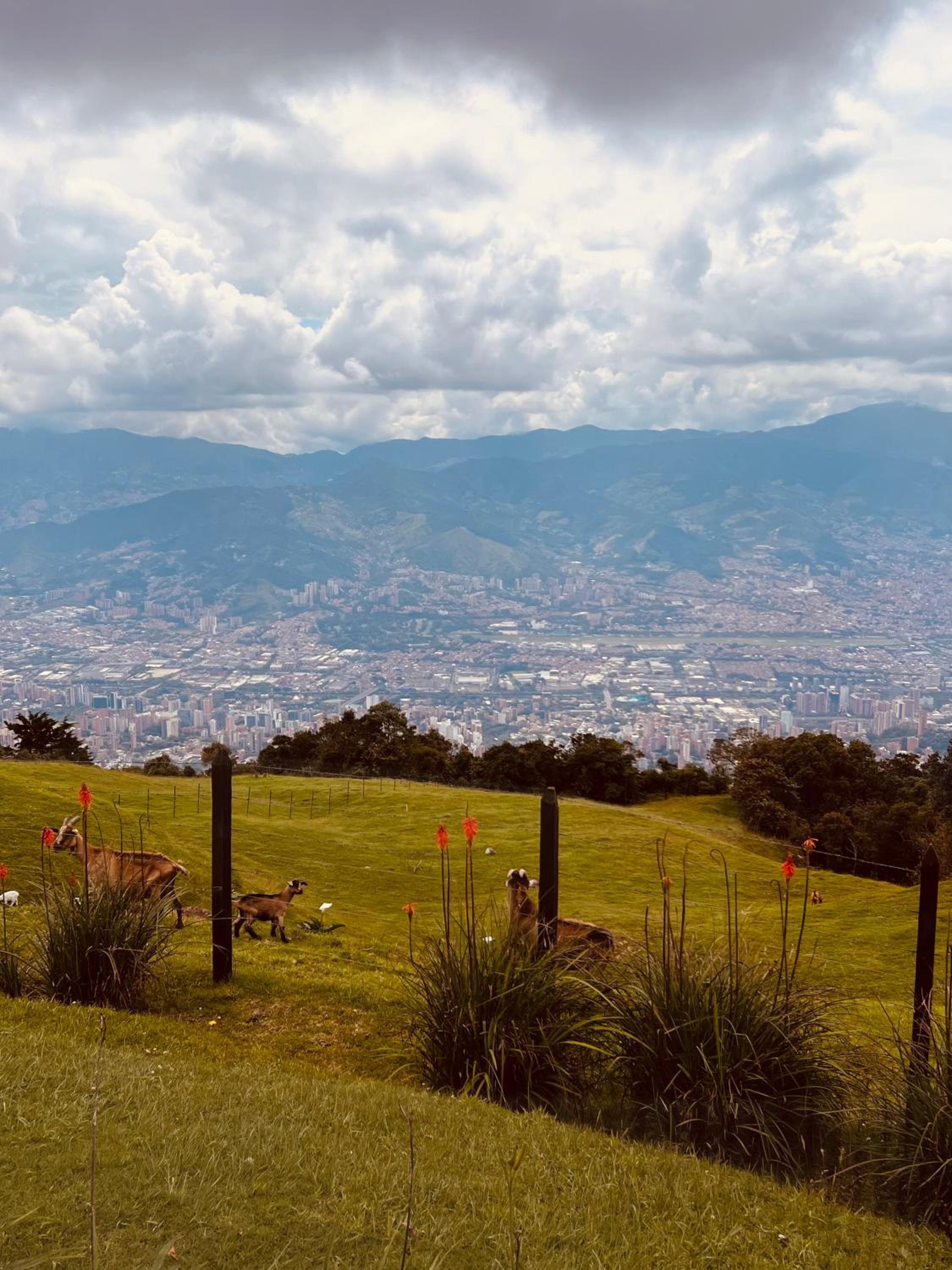 Cabaña EnLasNubes