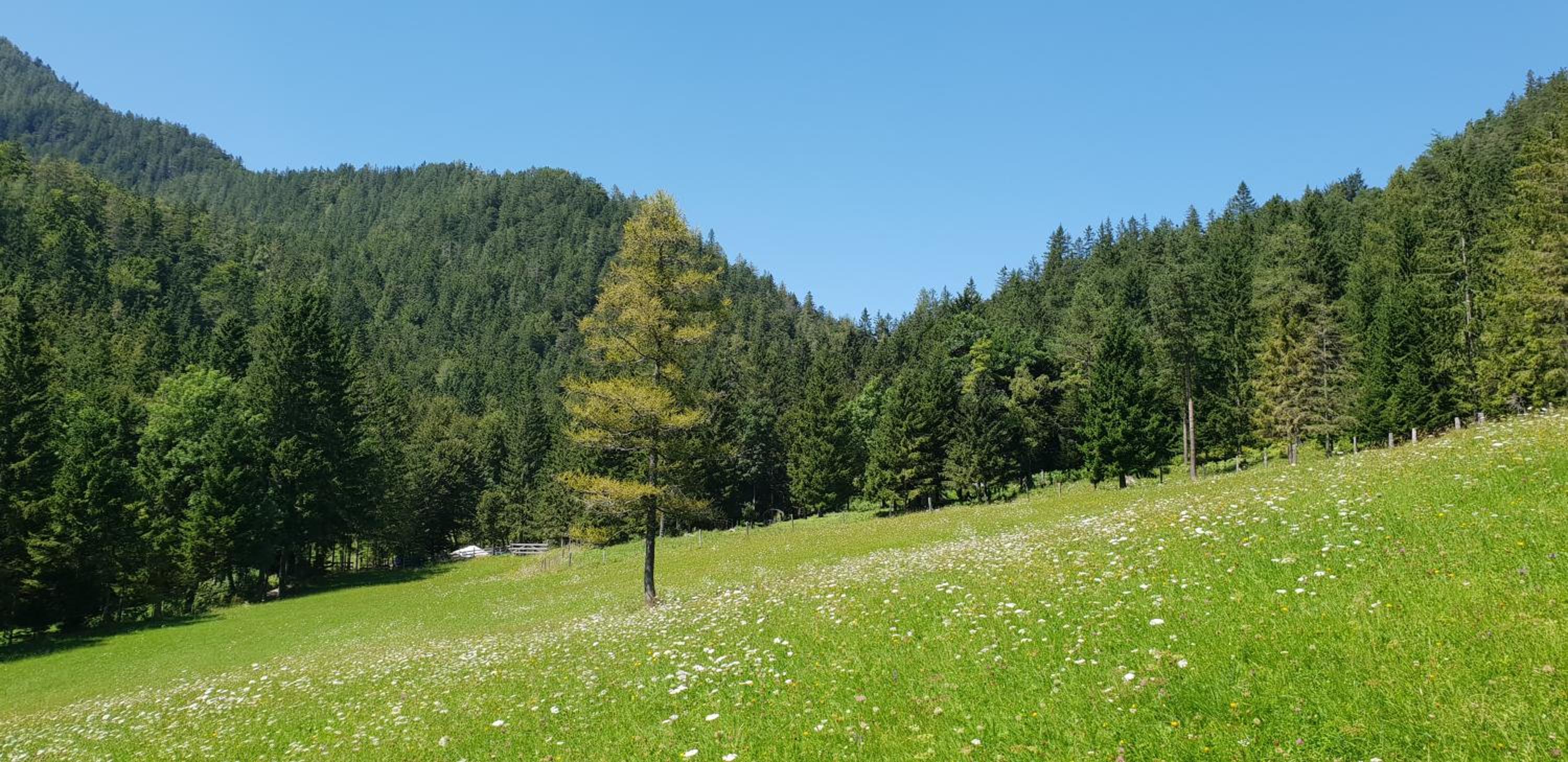 Bauernchalet Orainza