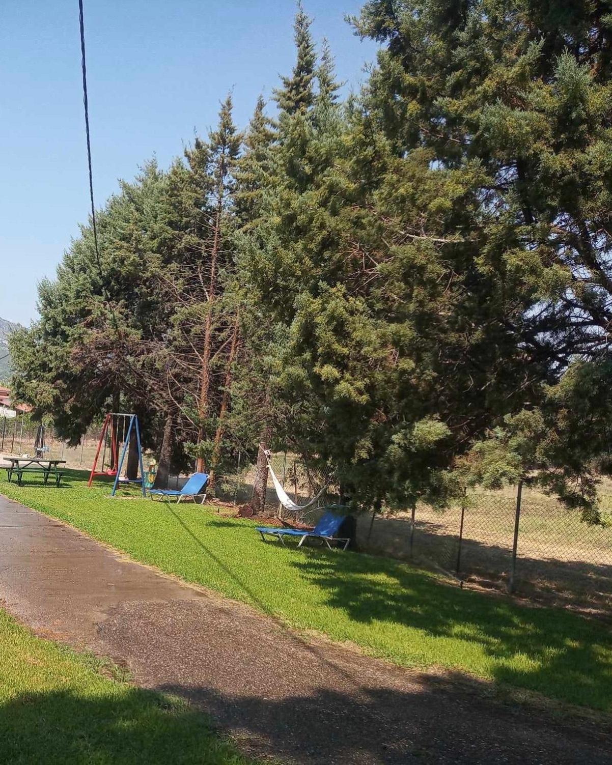 Photo 45