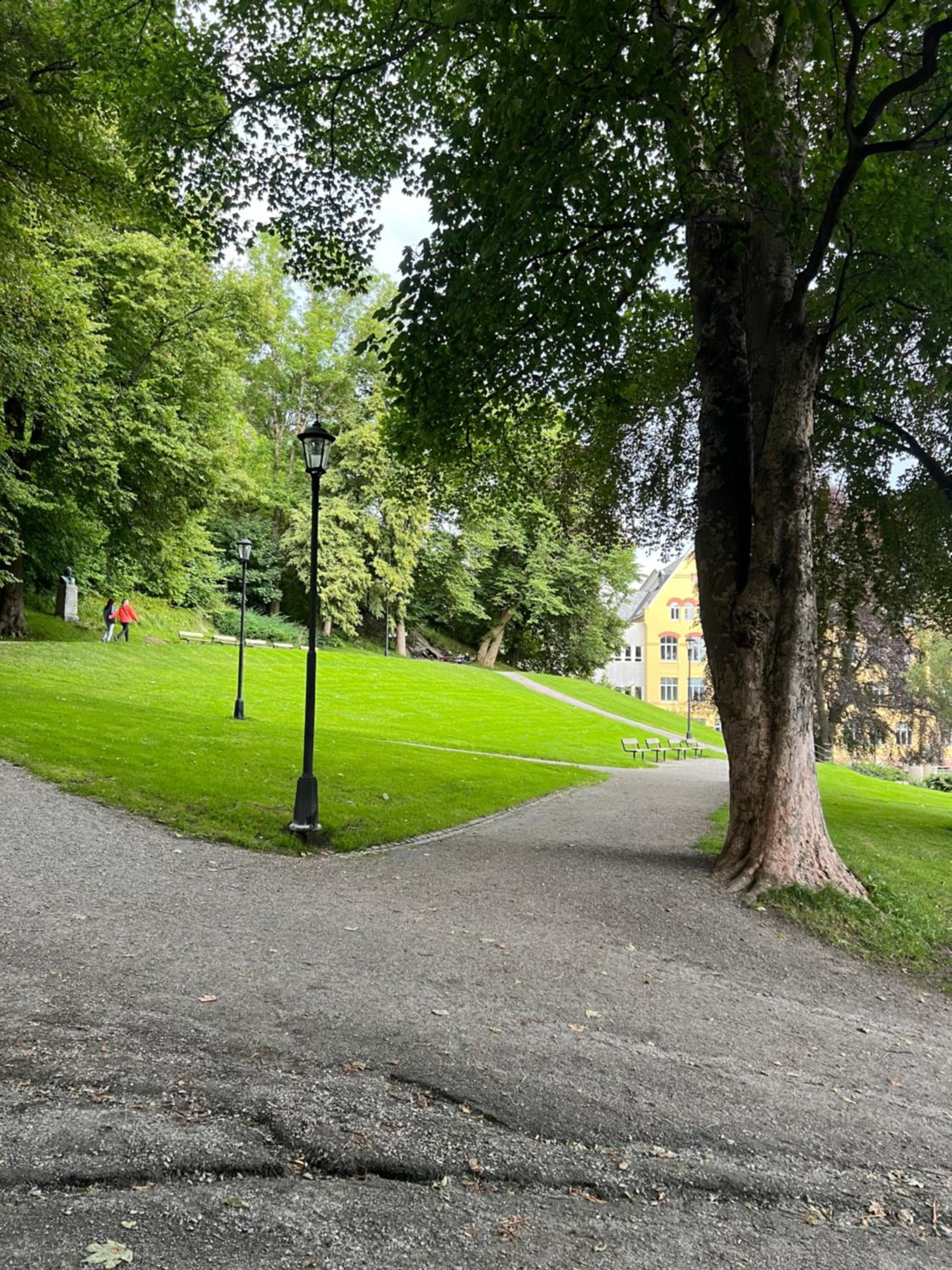Photo 18