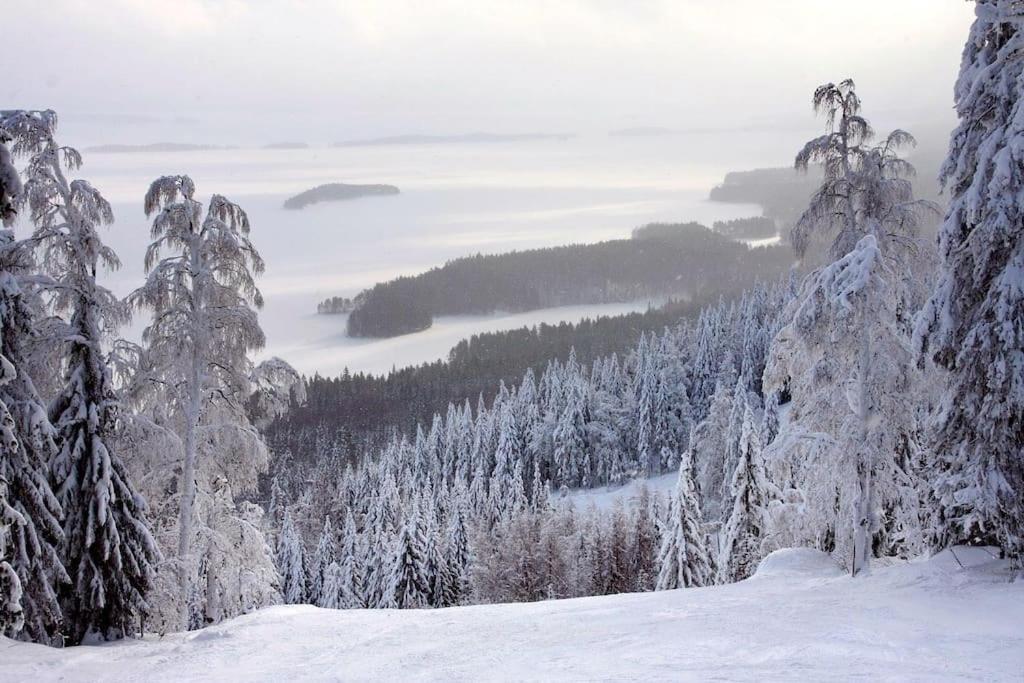 Cottage Petra in Koli