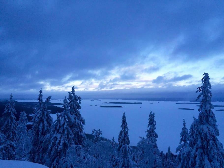 Cottage Petra in Koli