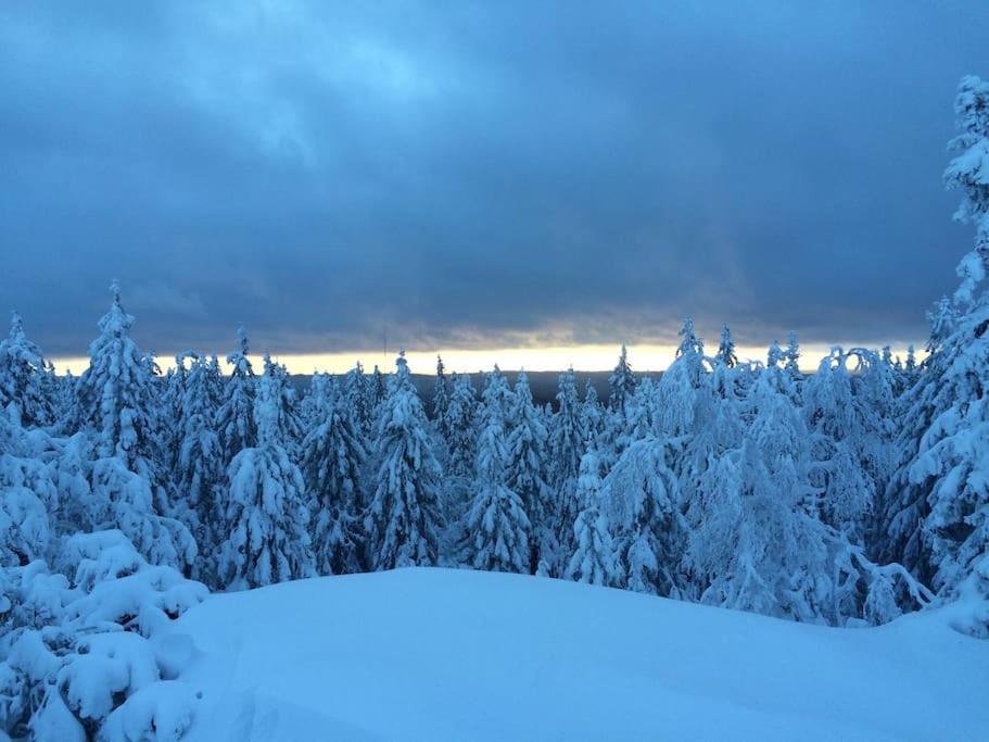 Cottage Petra in Koli