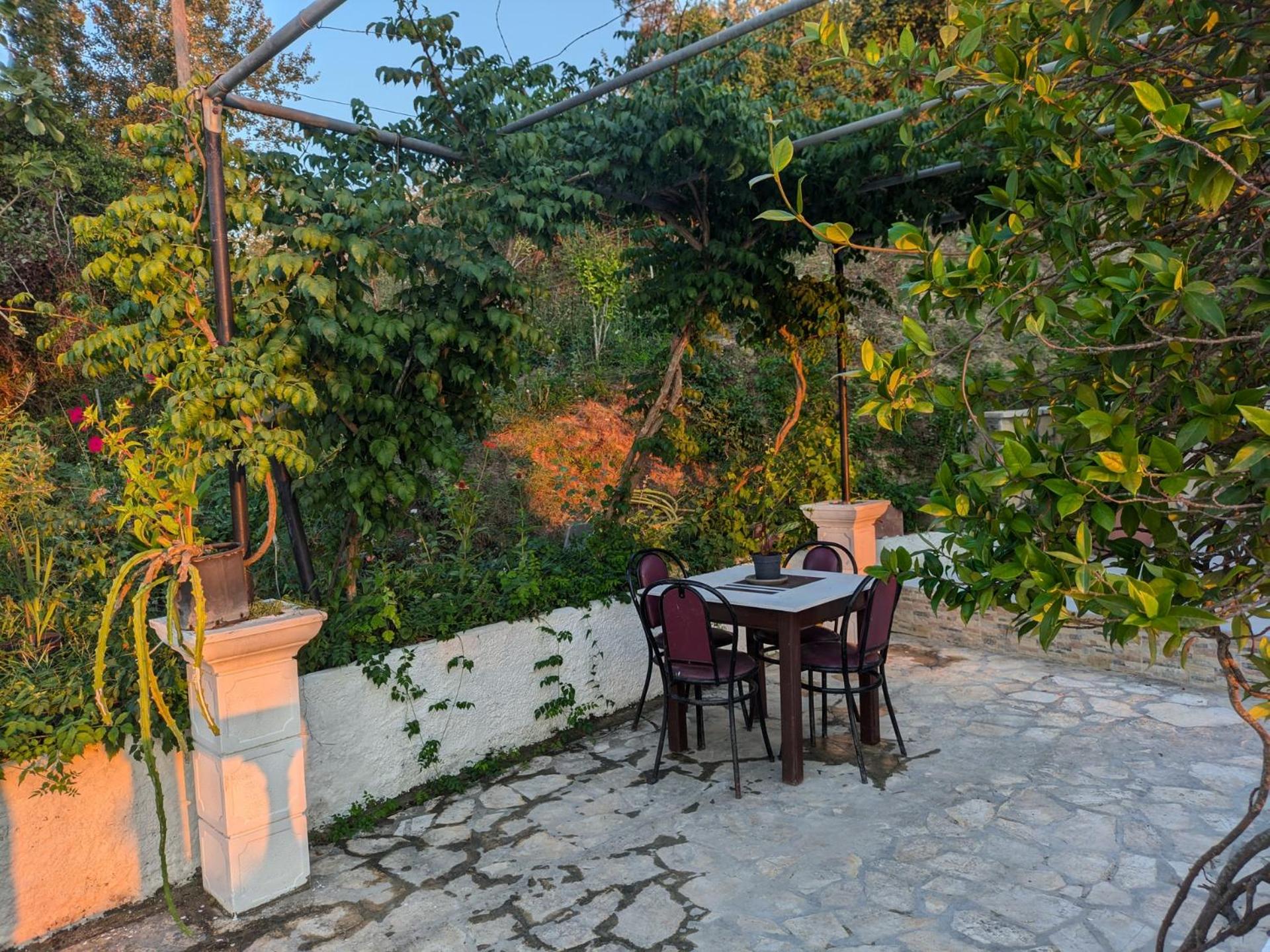 Blue Horizon II photo 2