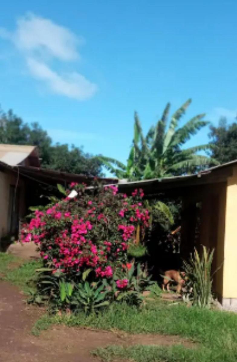 KAUARAKI Céntrica baño y cocina independiente