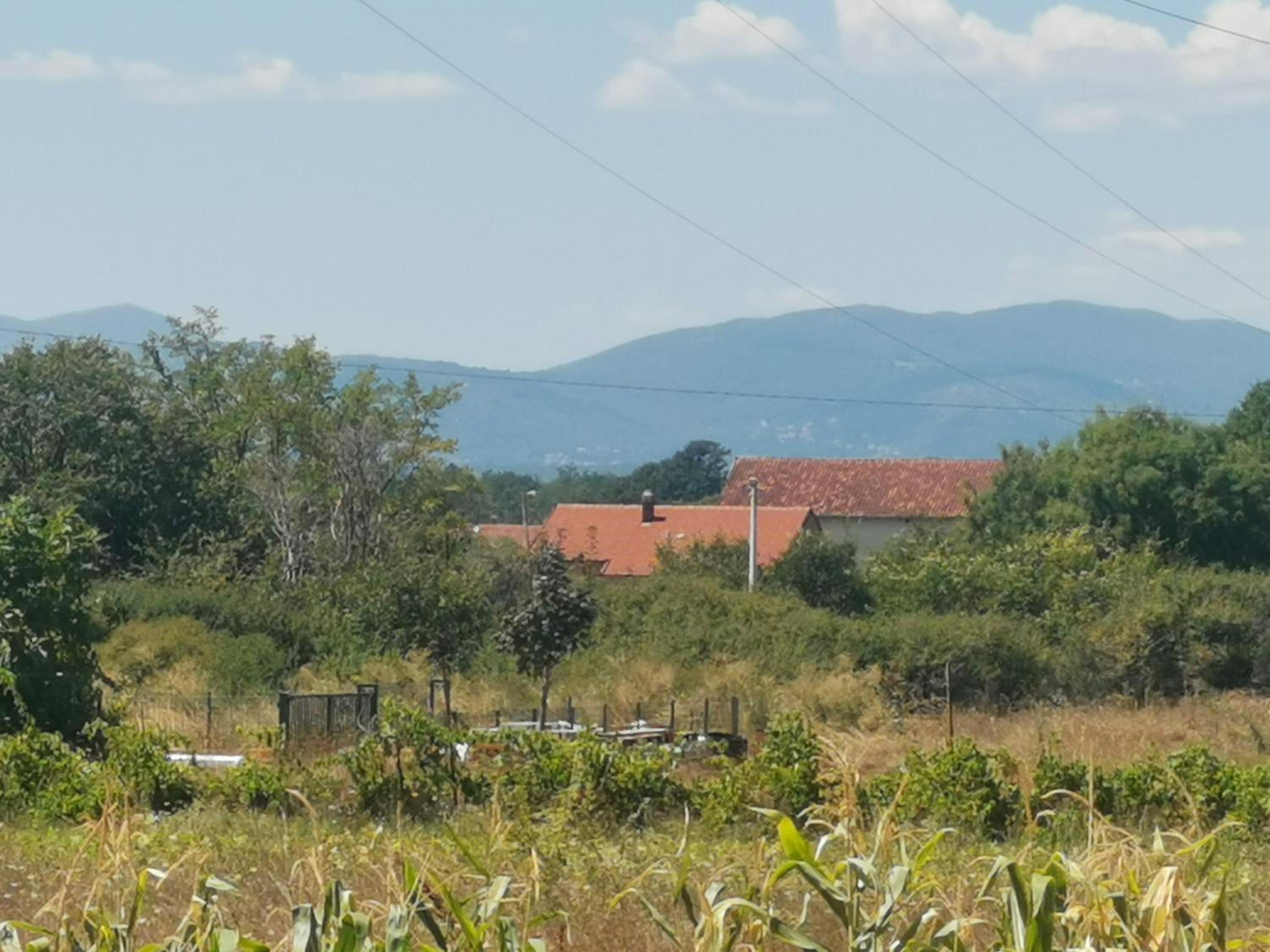 Žuta kuća