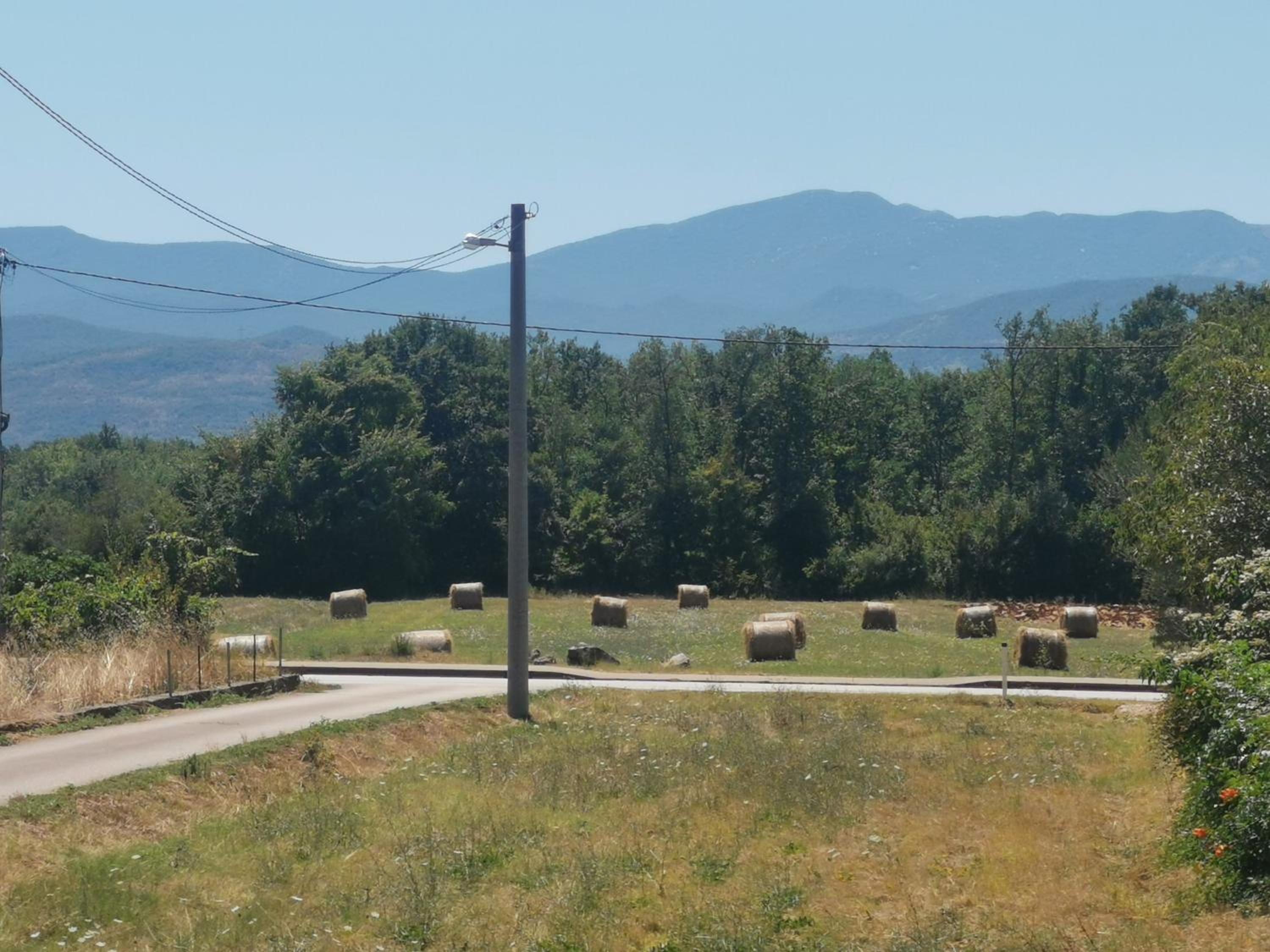 Žuta kuća