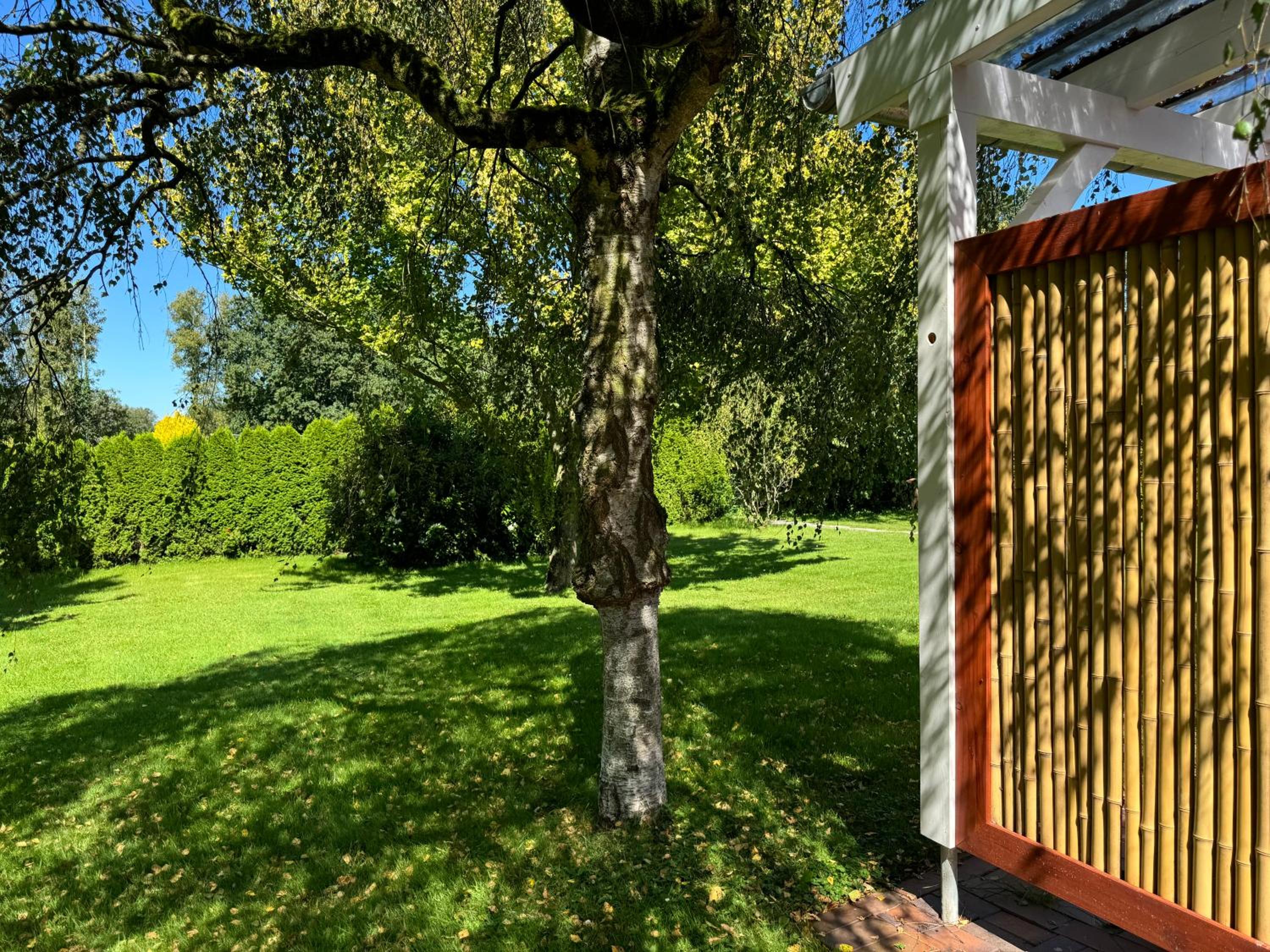 Ferienhaus Wollgras