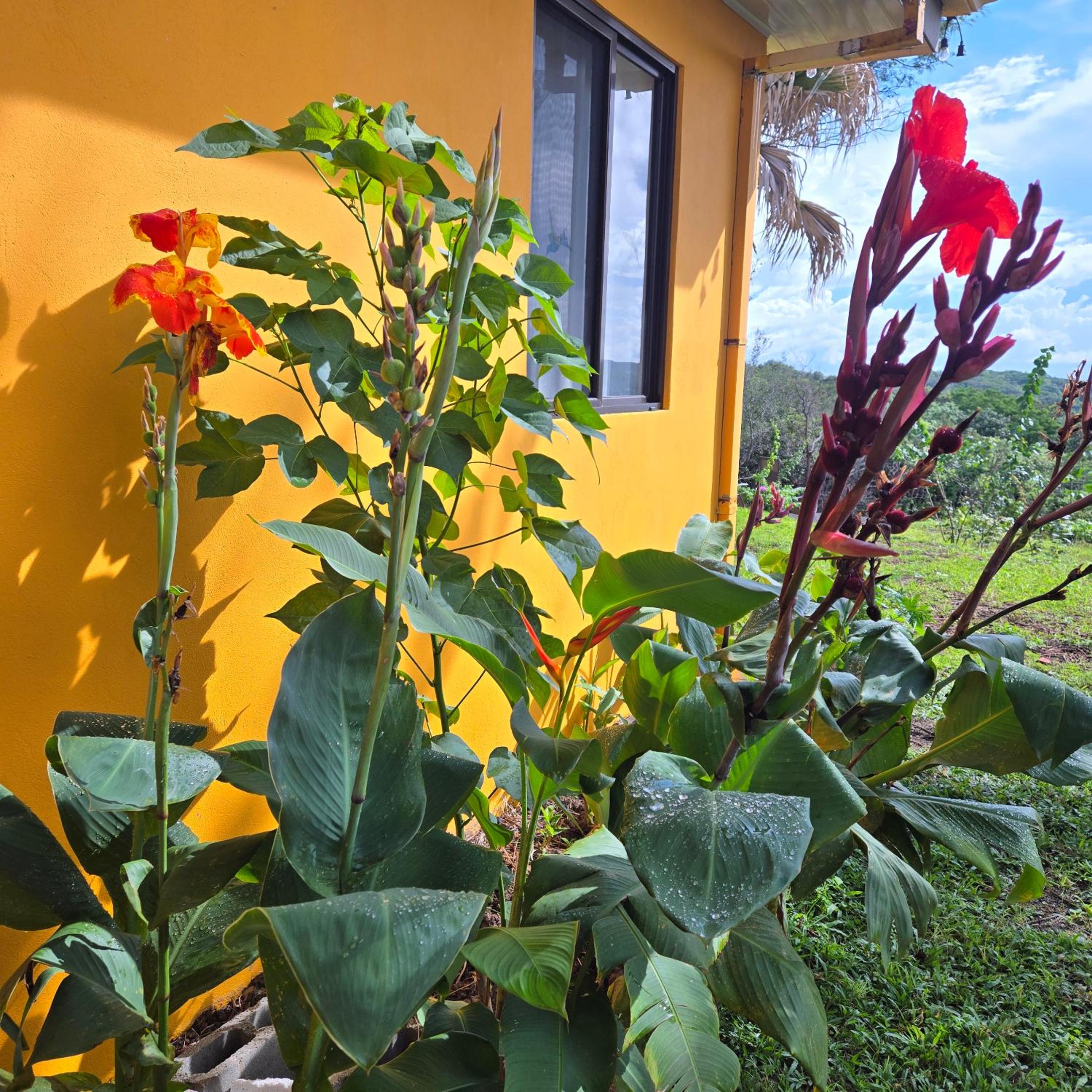Hacienda en Los Volcanes