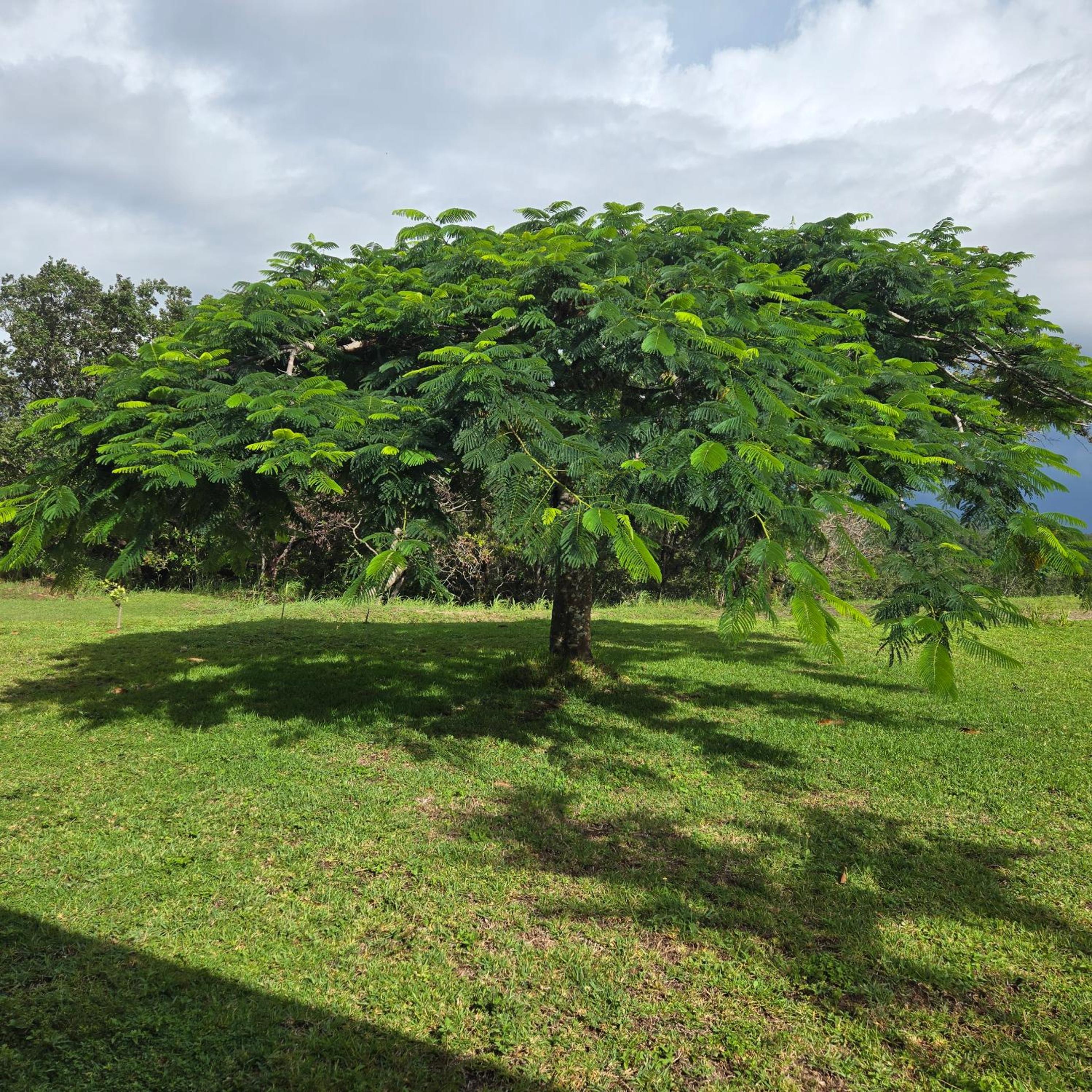 Hacienda en Los Volcanes