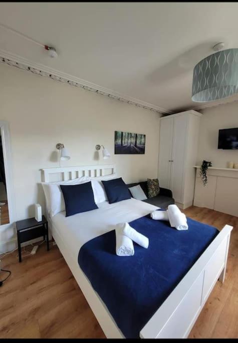 Lovely Entire Studio In Dublin City