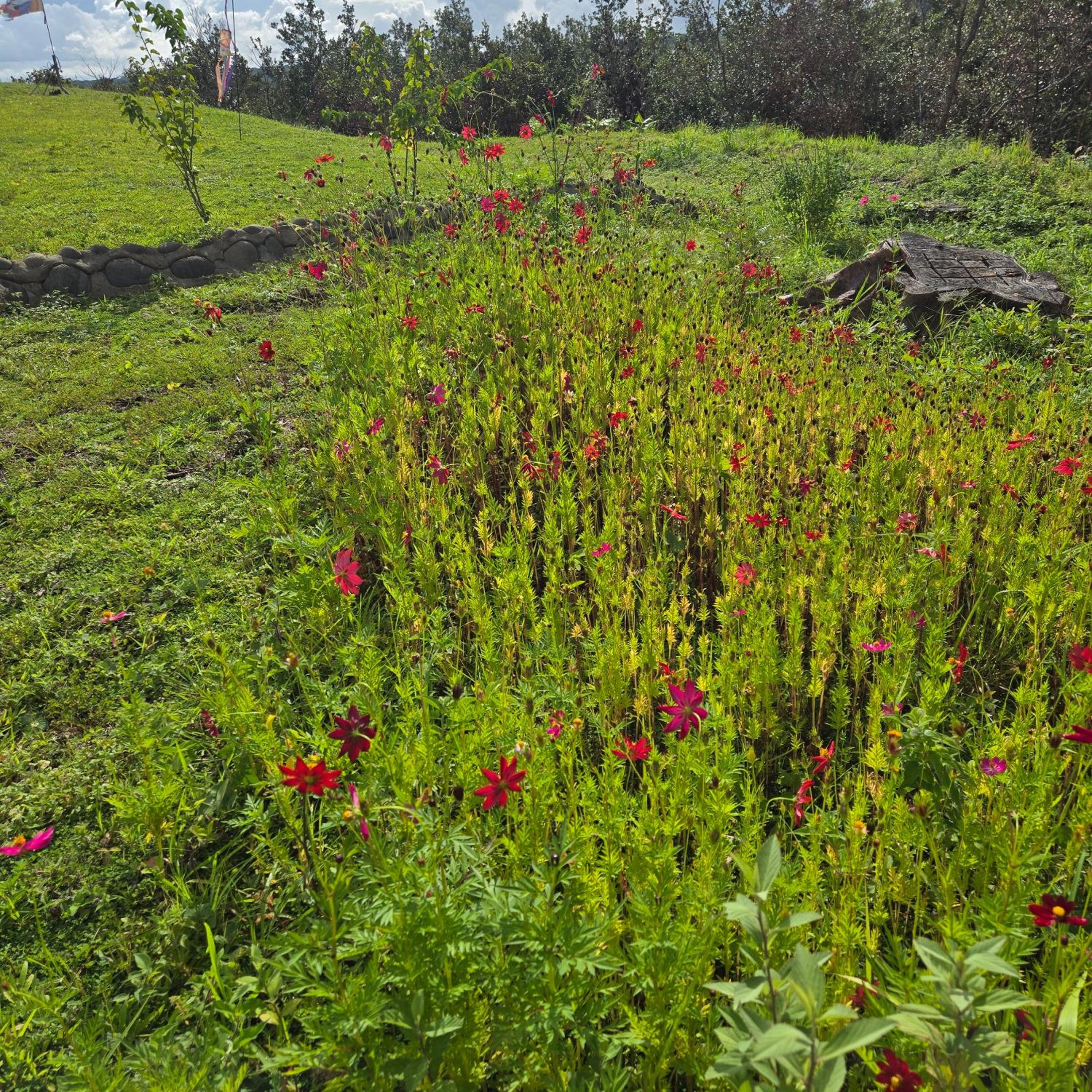 Hacienda en Los Volcanes