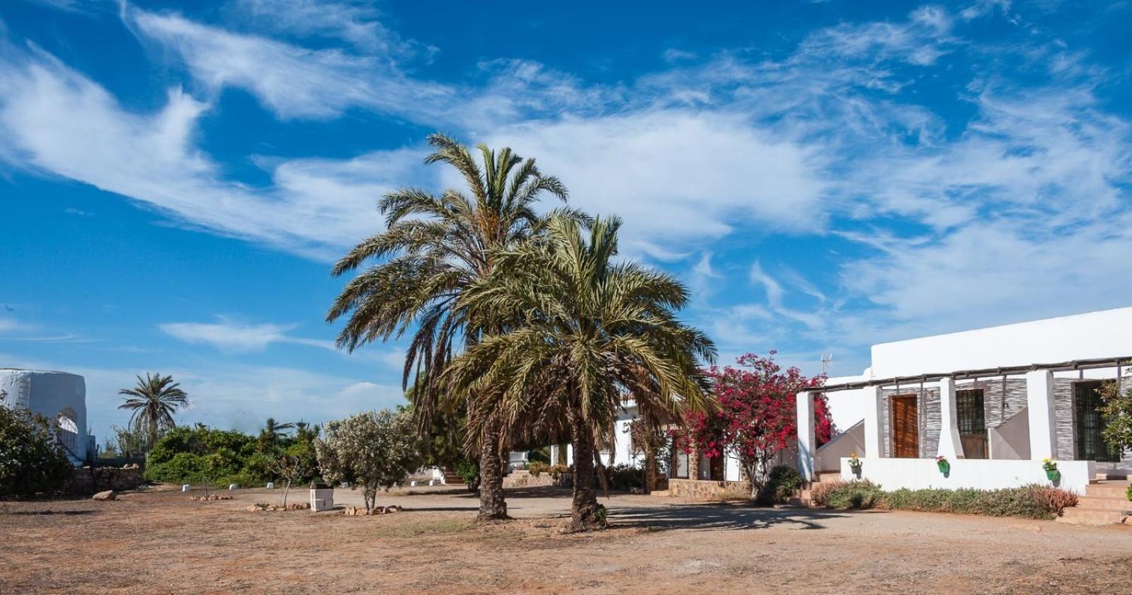 Cortijo La Molina de Cabo de Gata - Property Image 29