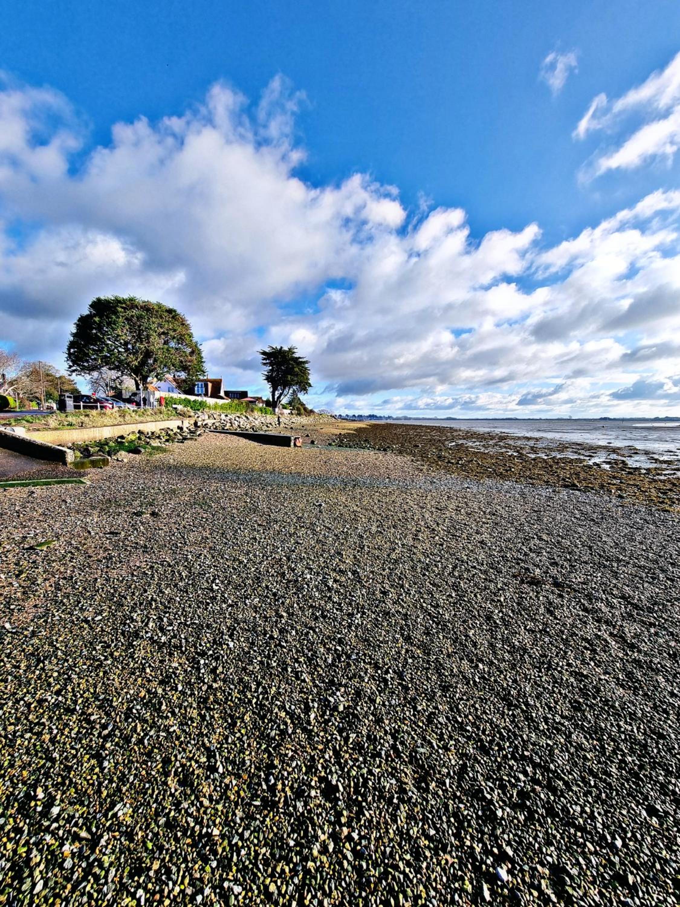 Photo 39