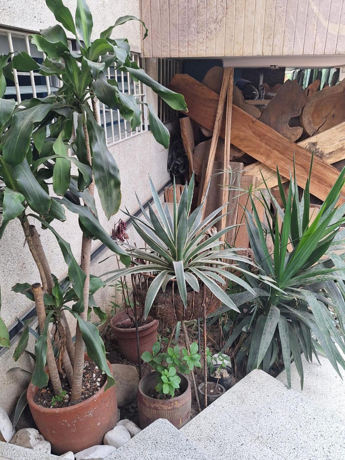 Casa Babylon