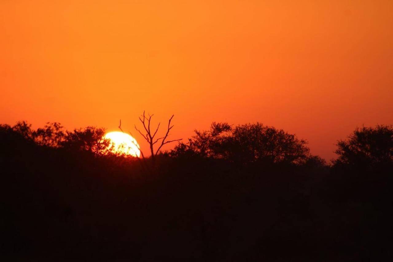 Kruger Nest view 2